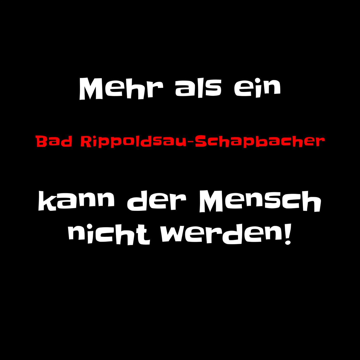 Bad Rippoldsau-Schapbach T-Shirt »Mehr als ein«