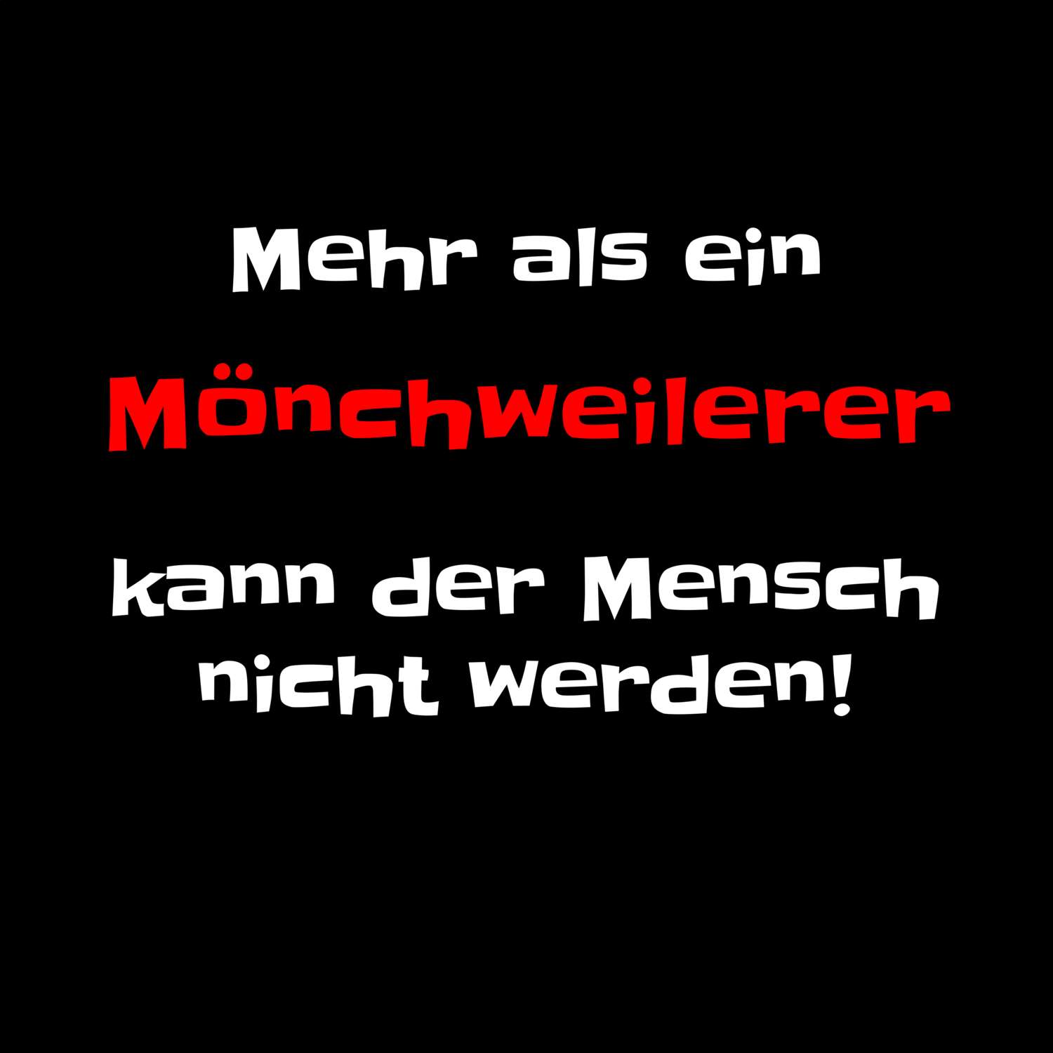 Mönchweiler T-Shirt »Mehr als ein«
