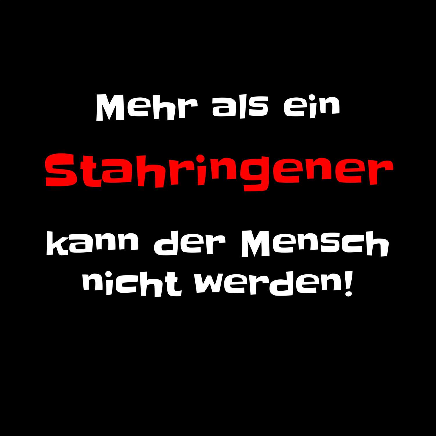 Stahringen T-Shirt »Mehr als ein«