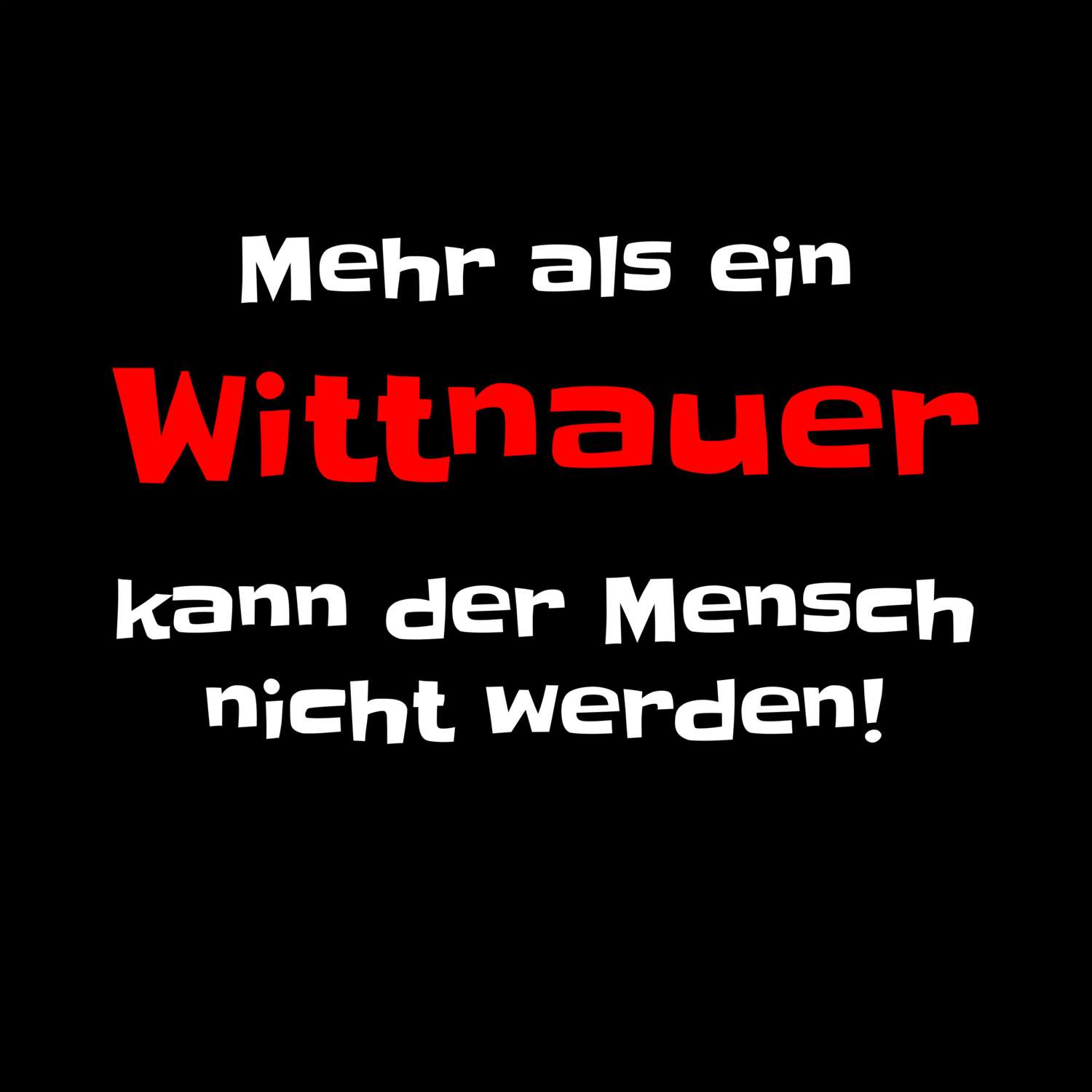 Wittnau T-Shirt »Mehr als ein«