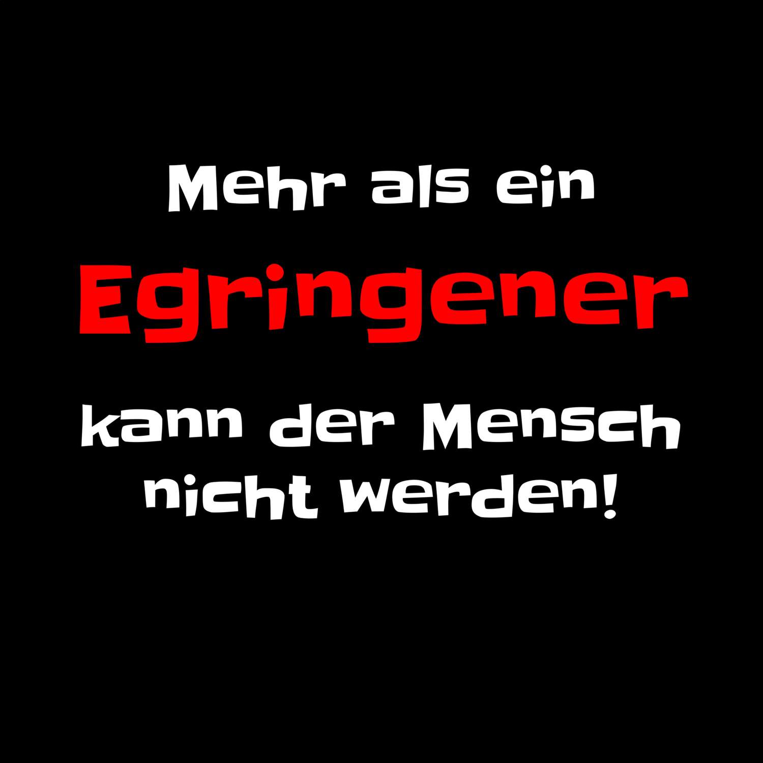 Egringen T-Shirt »Mehr als ein«