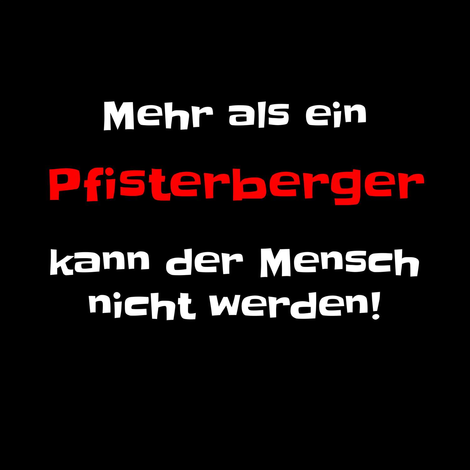 Pfisterberg T-Shirt »Mehr als ein«