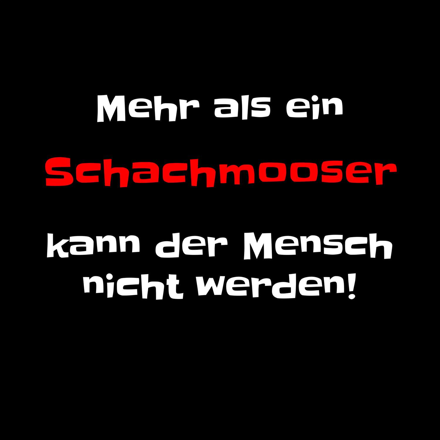 Schachmoos T-Shirt »Mehr als ein«