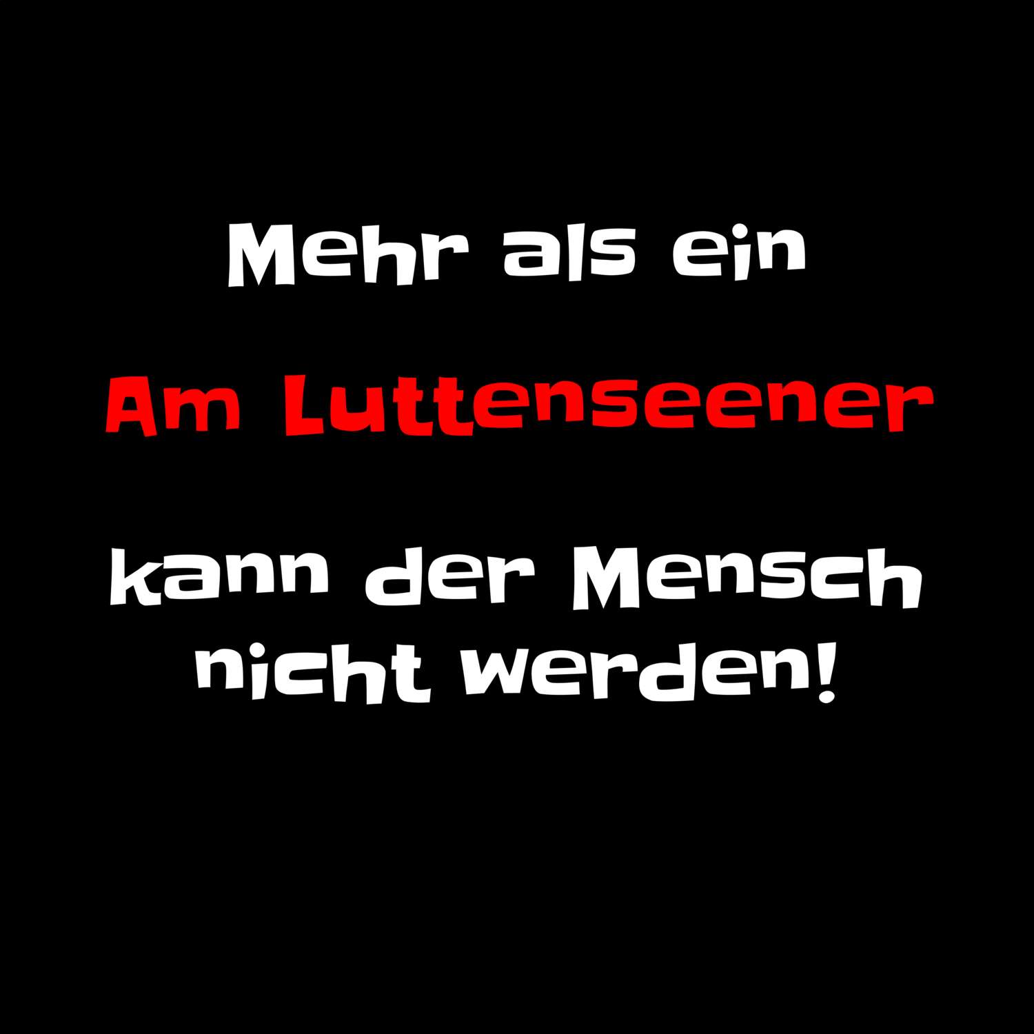 T-Shirt »Mehr als ein« für den Ort »Am Luttensee«