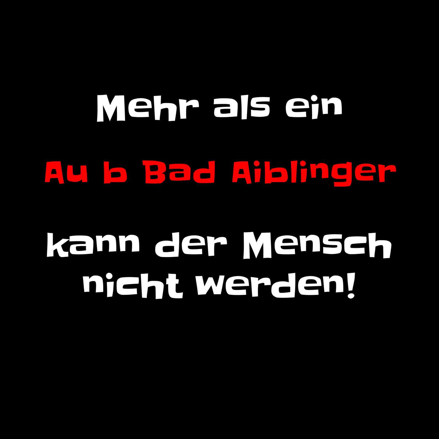 Au b Bad Aibling T-Shirt »Mehr als ein«