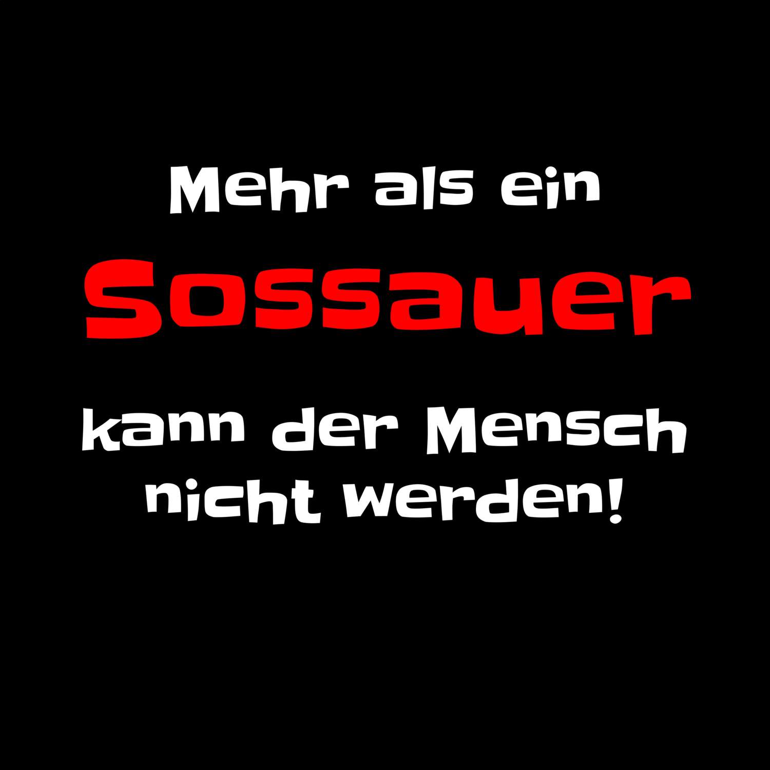 Sossau T-Shirt »Mehr als ein«