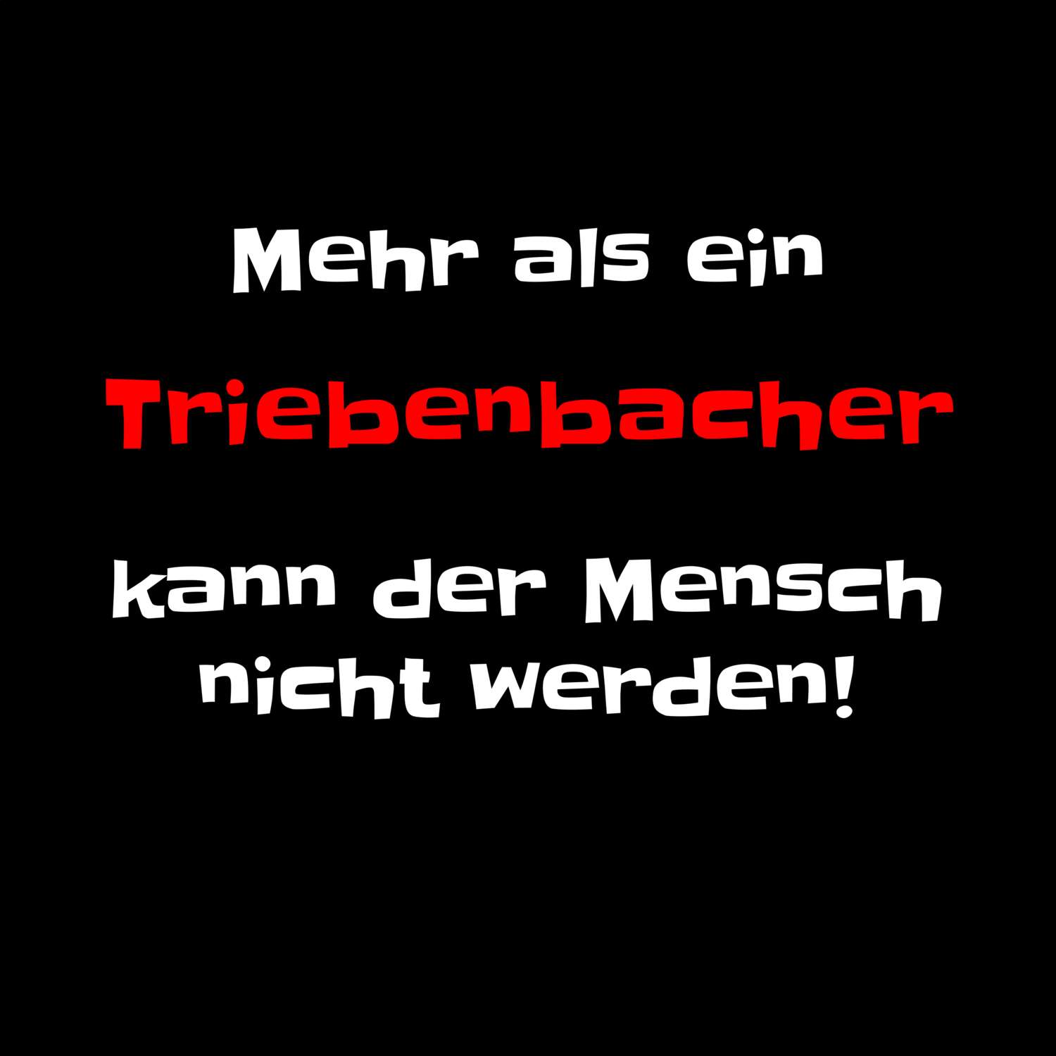 Triebenbach T-Shirt »Mehr als ein«