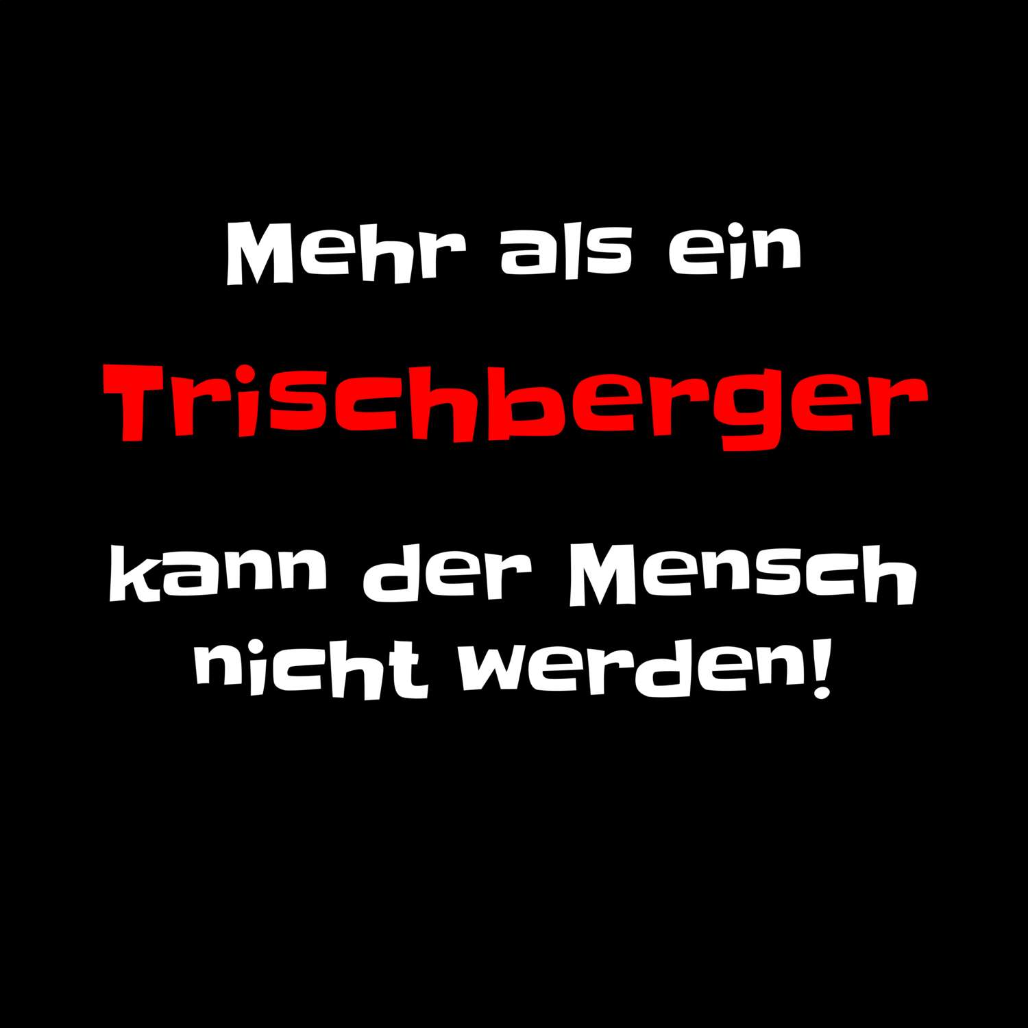 Trischberg T-Shirt »Mehr als ein«