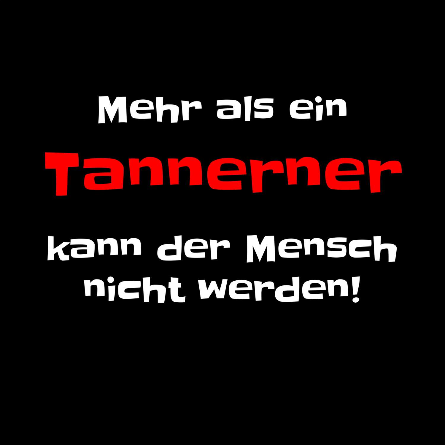 Tannern T-Shirt »Mehr als ein«