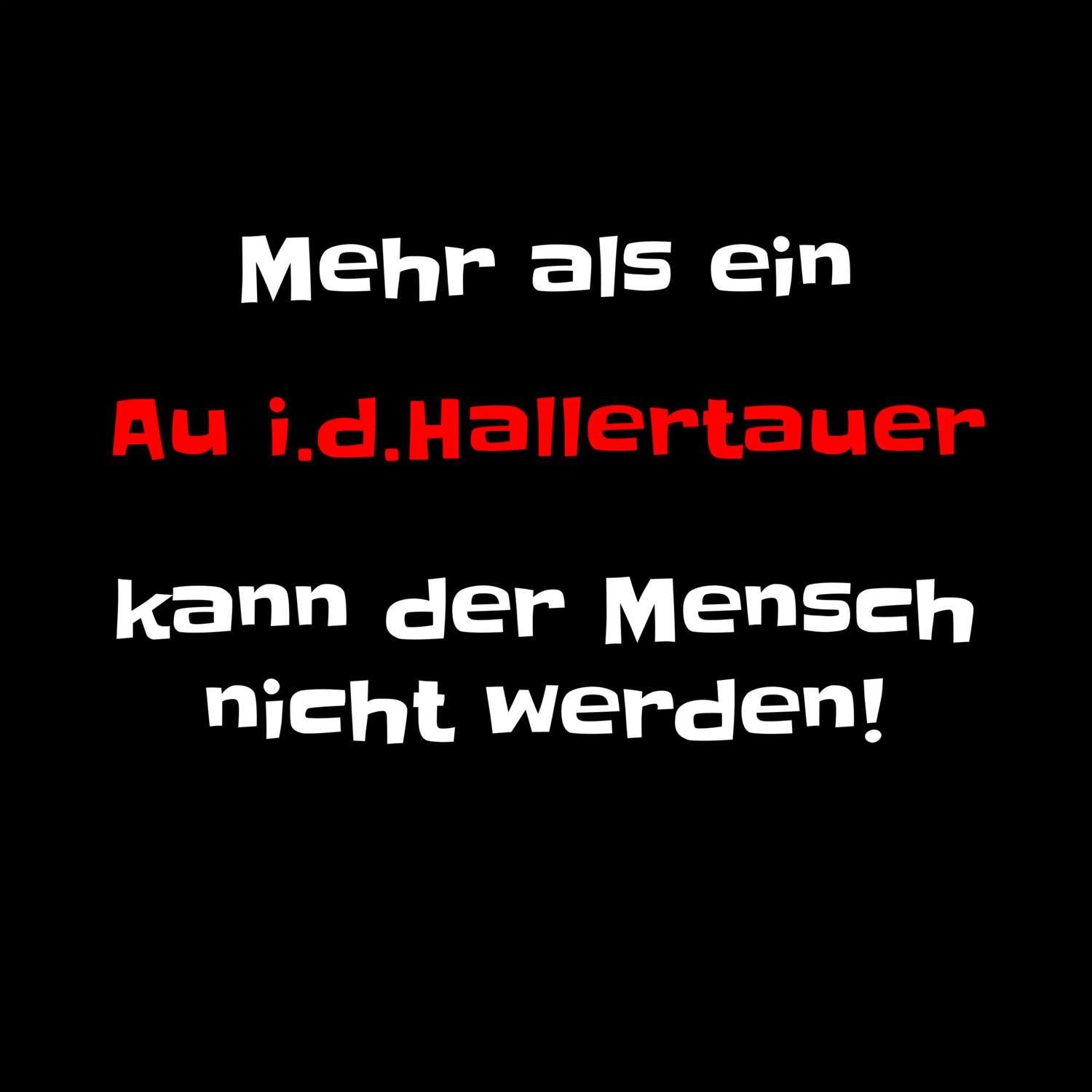 Au i.d.Hallertau T-Shirt »Mehr als ein«