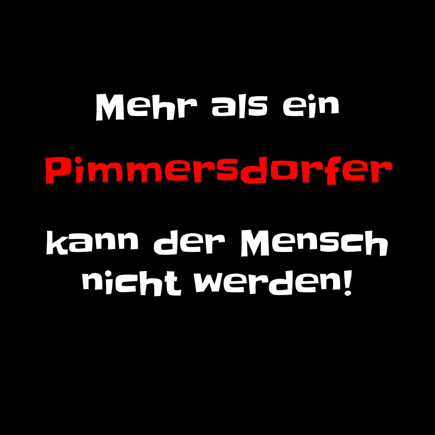 Pimmersdorf T-Shirt »Mehr als ein«