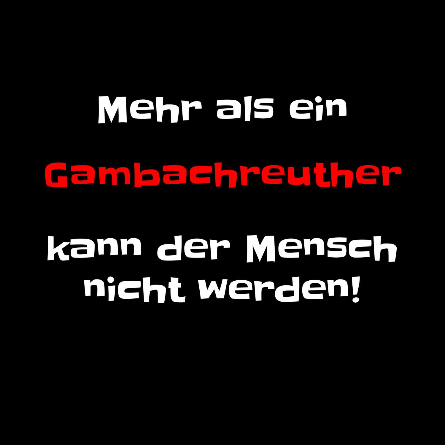 Gambachreuth T-Shirt »Mehr als ein«