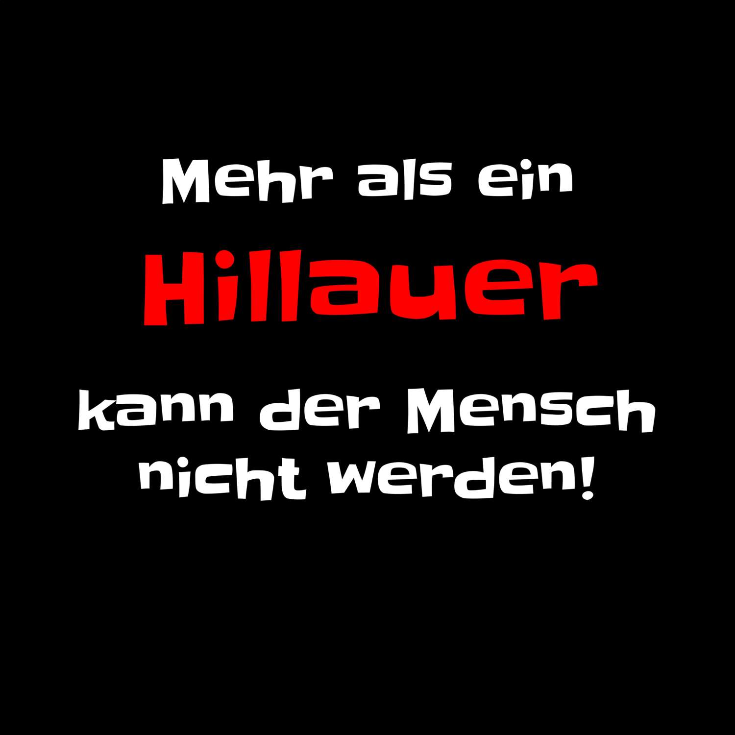 Hillau T-Shirt »Mehr als ein«