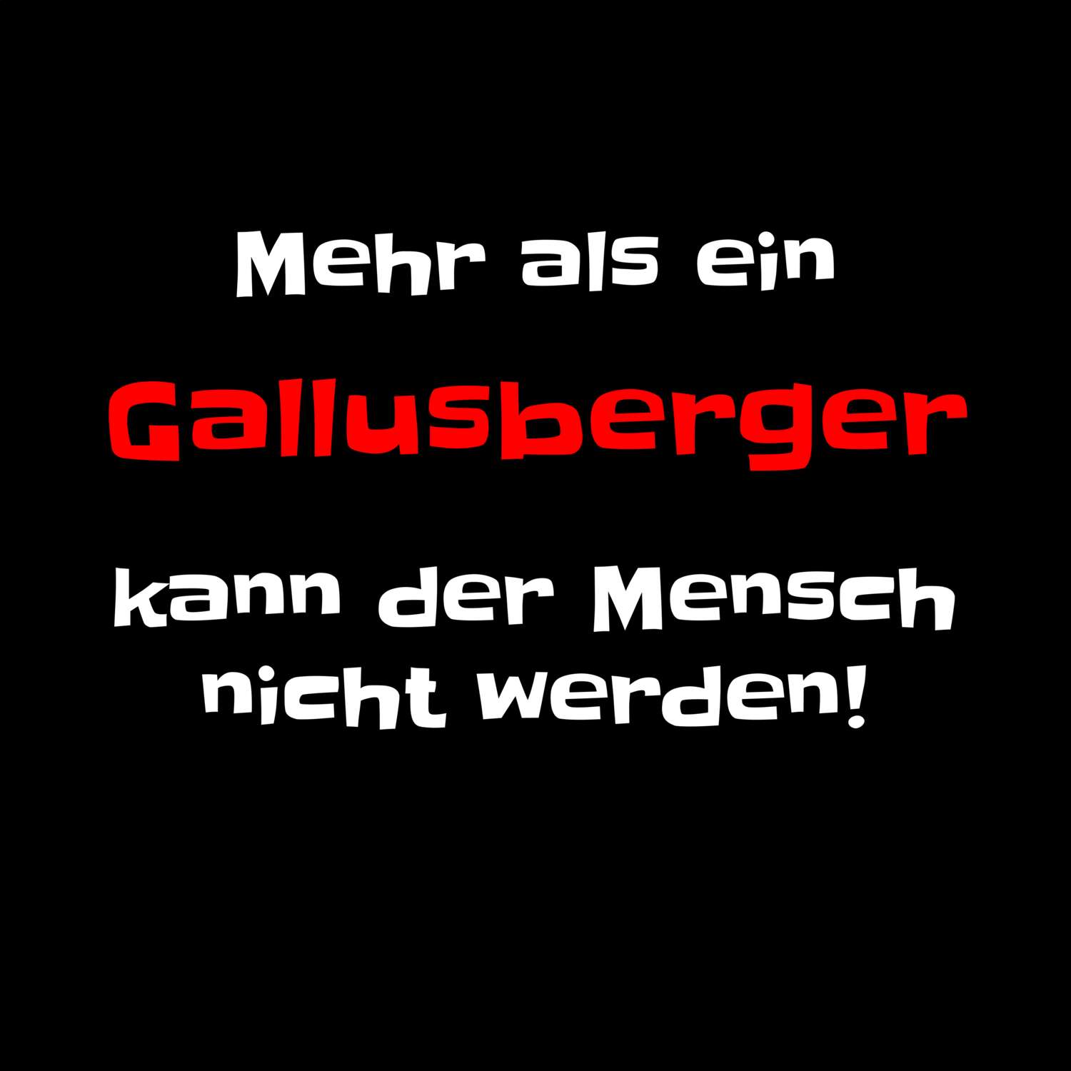 Gallusberg T-Shirt »Mehr als ein«