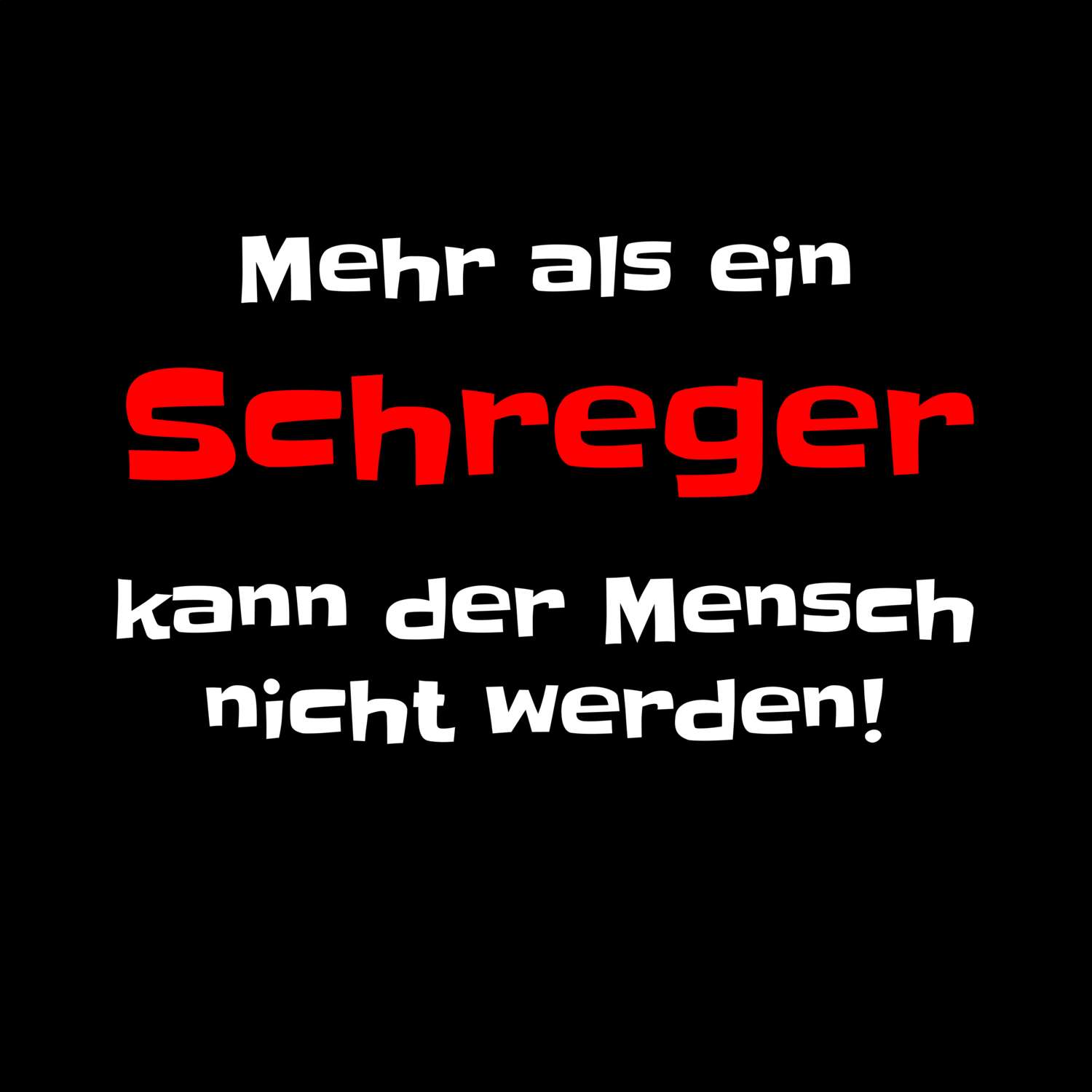 Schreg T-Shirt »Mehr als ein«