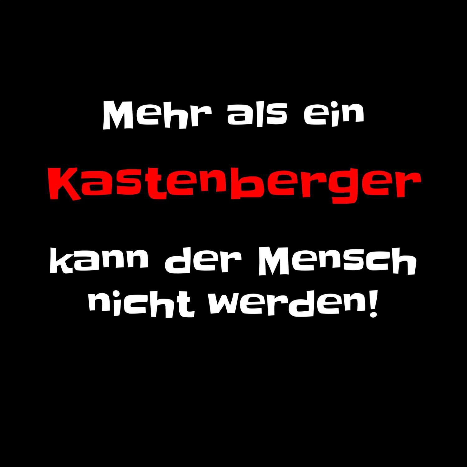 Kastenberg T-Shirt »Mehr als ein«