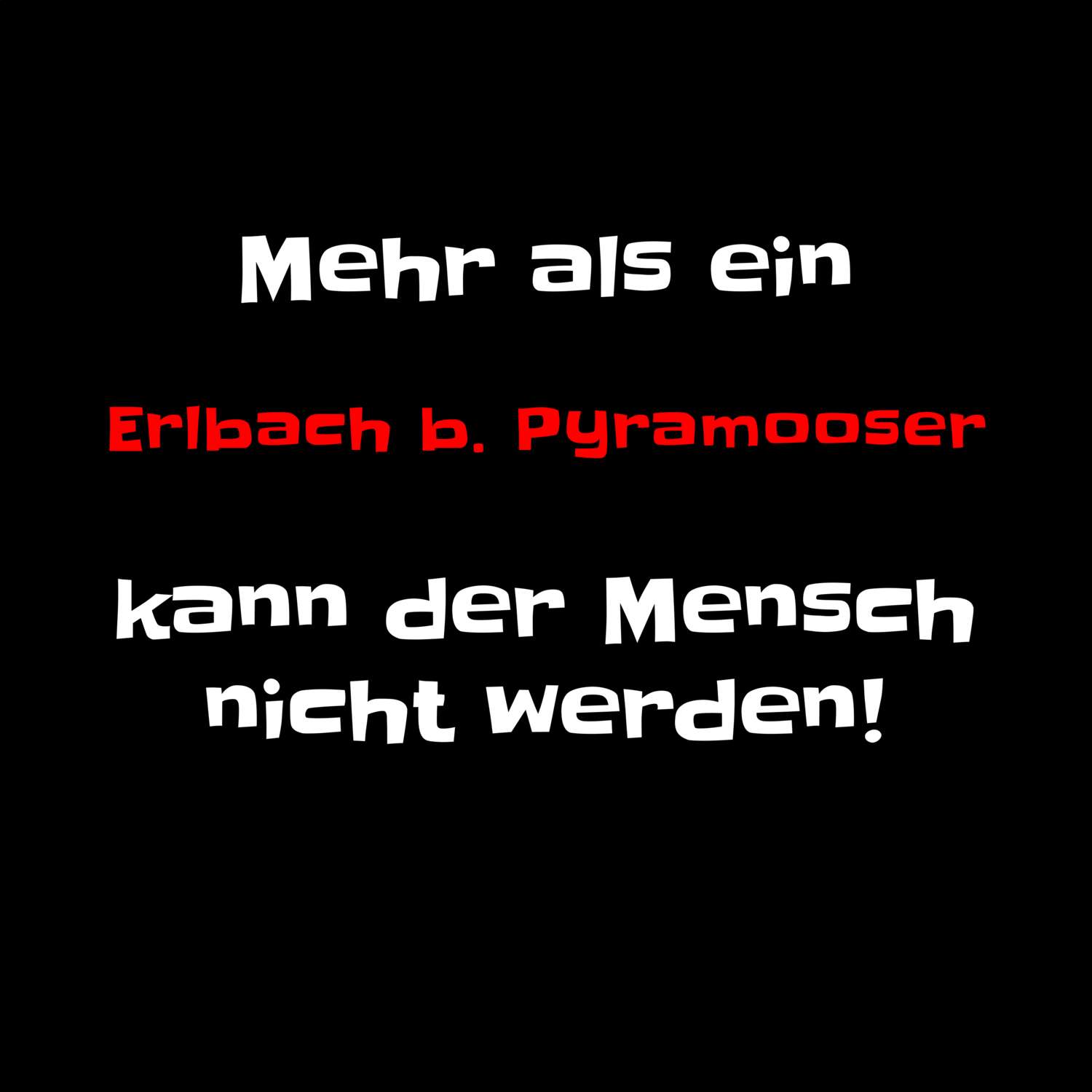 Erlbach b. Pyramoos T-Shirt »Mehr als ein«