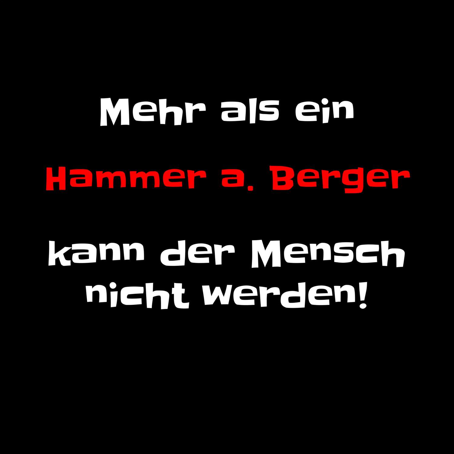 Hammer a. Berg T-Shirt »Mehr als ein«