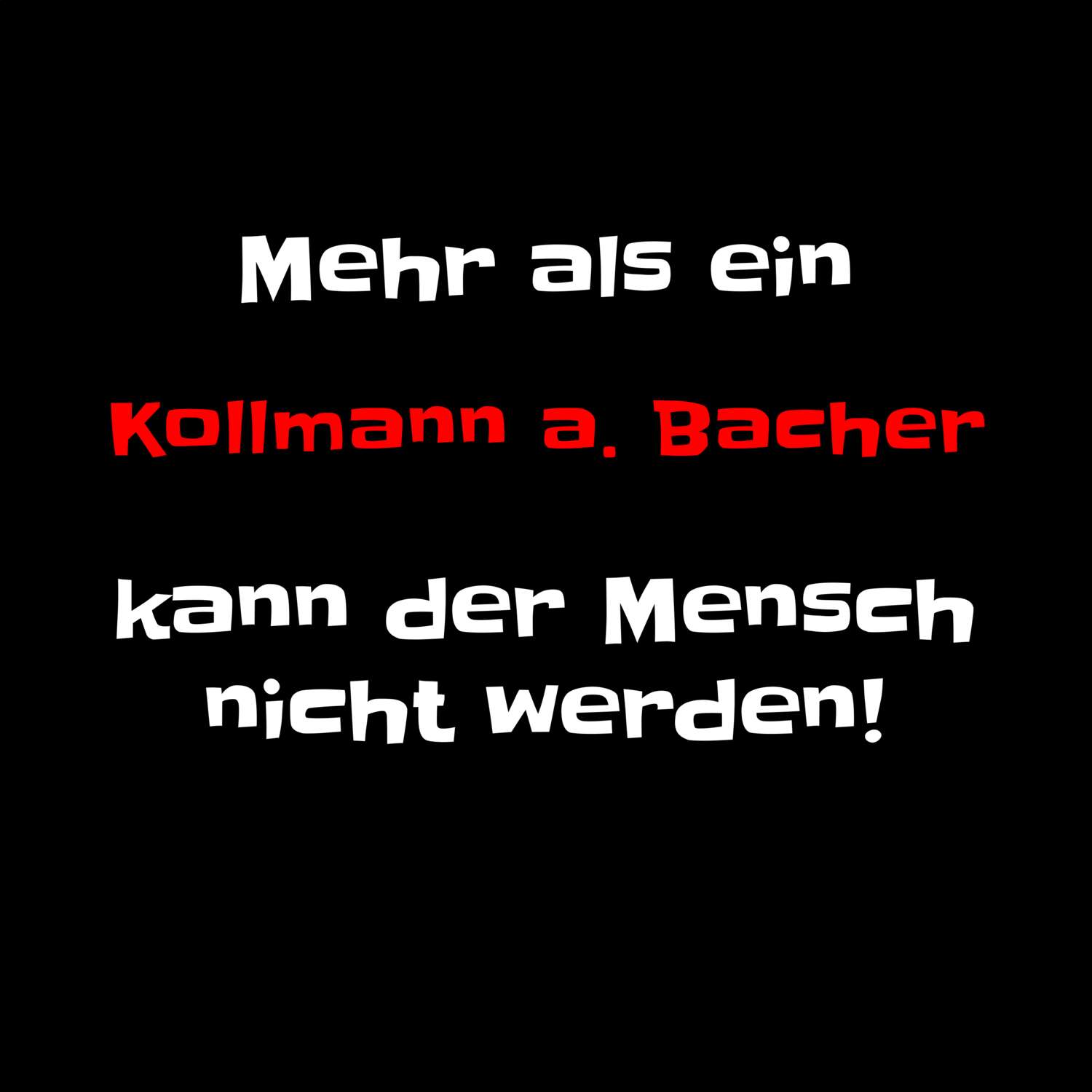 Kollmann a. Bach T-Shirt »Mehr als ein«