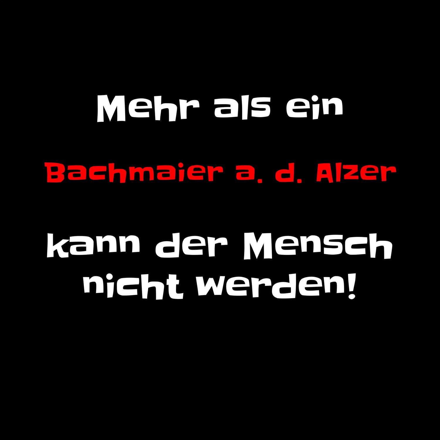 Bachmaier a. d. Alz T-Shirt »Mehr als ein«