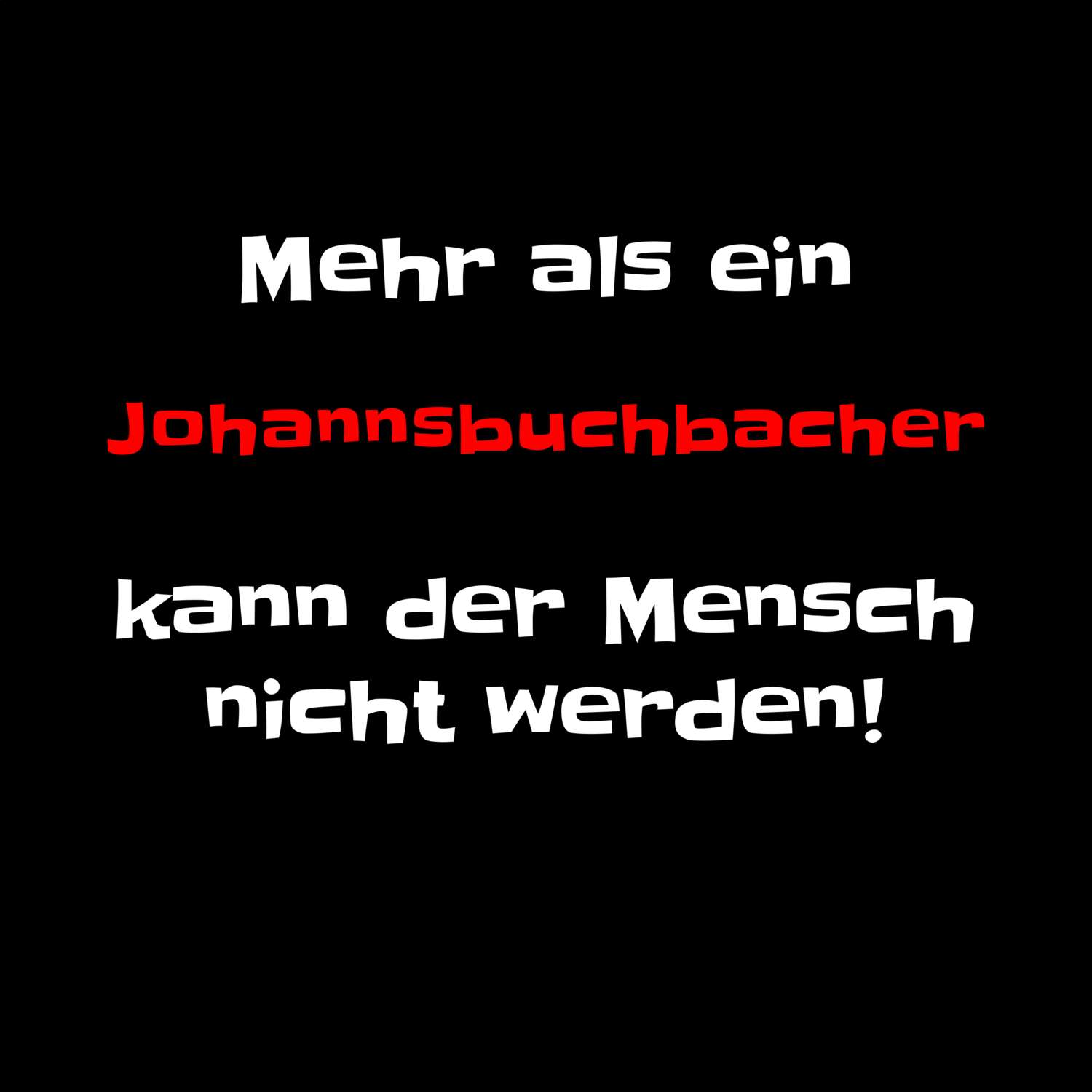 Johannsbuchbach T-Shirt »Mehr als ein«