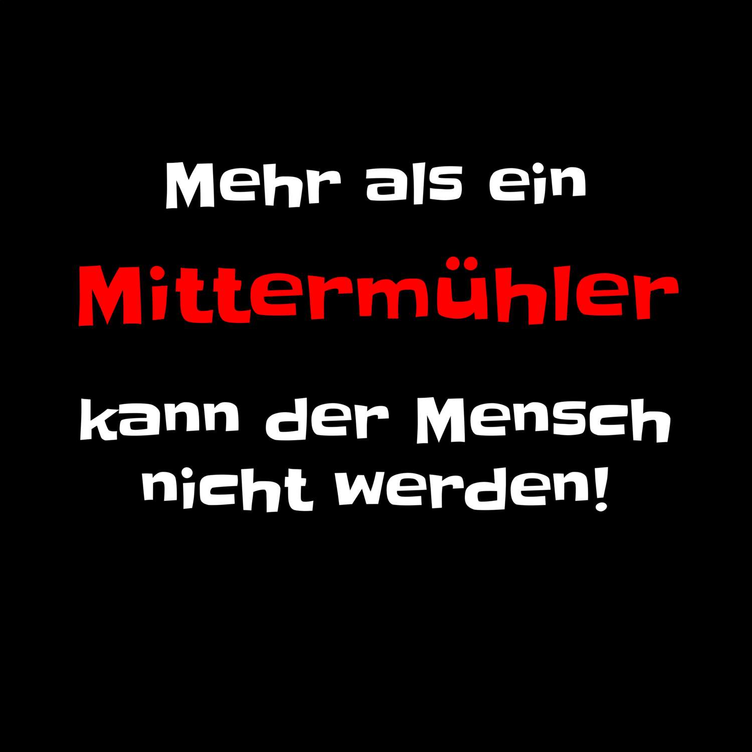 Mittermühl T-Shirt »Mehr als ein«