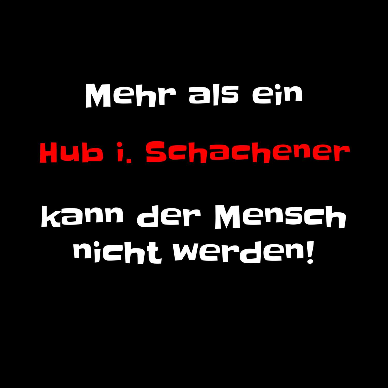 Hub i. Schachen T-Shirt »Mehr als ein«