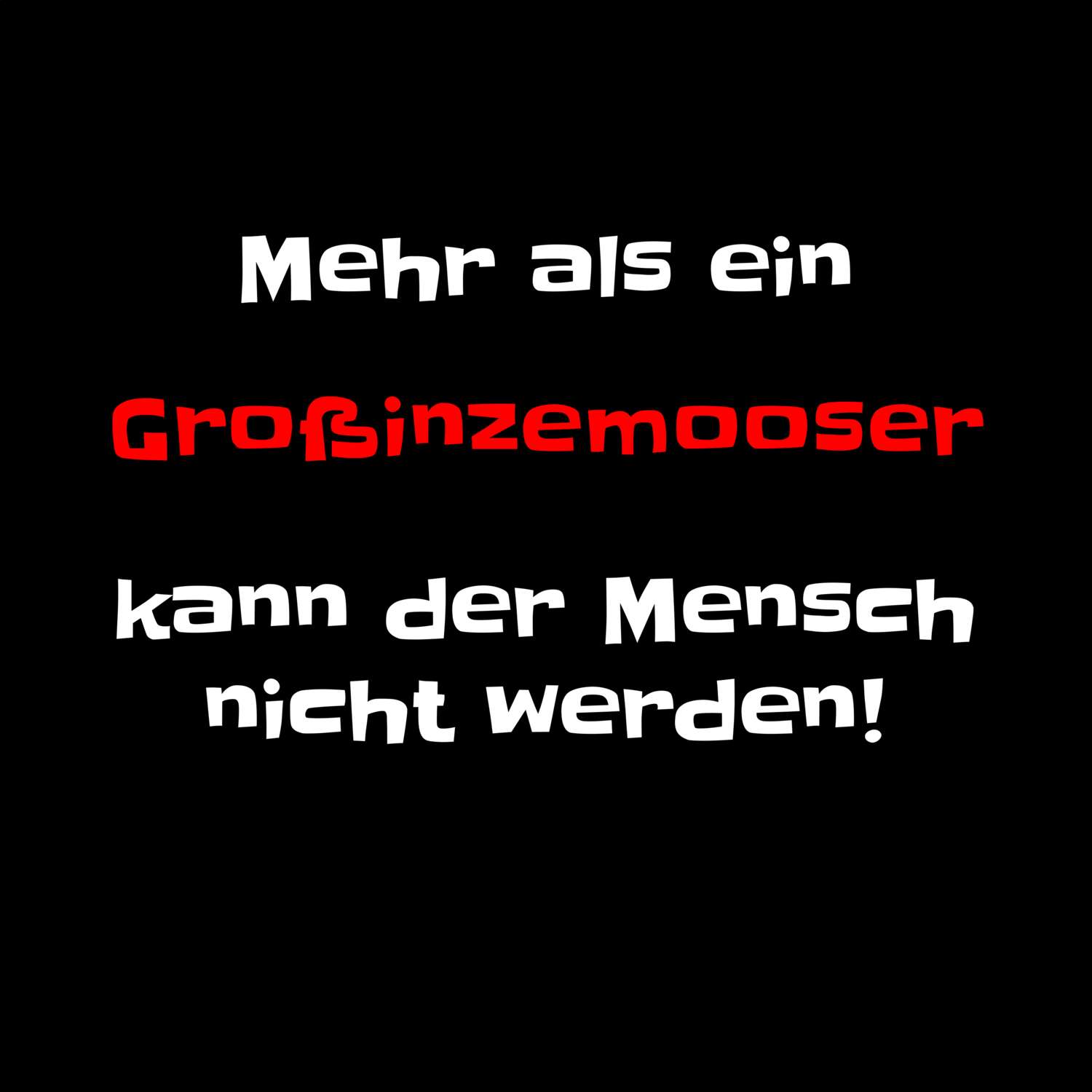 Großinzemoos T-Shirt »Mehr als ein«