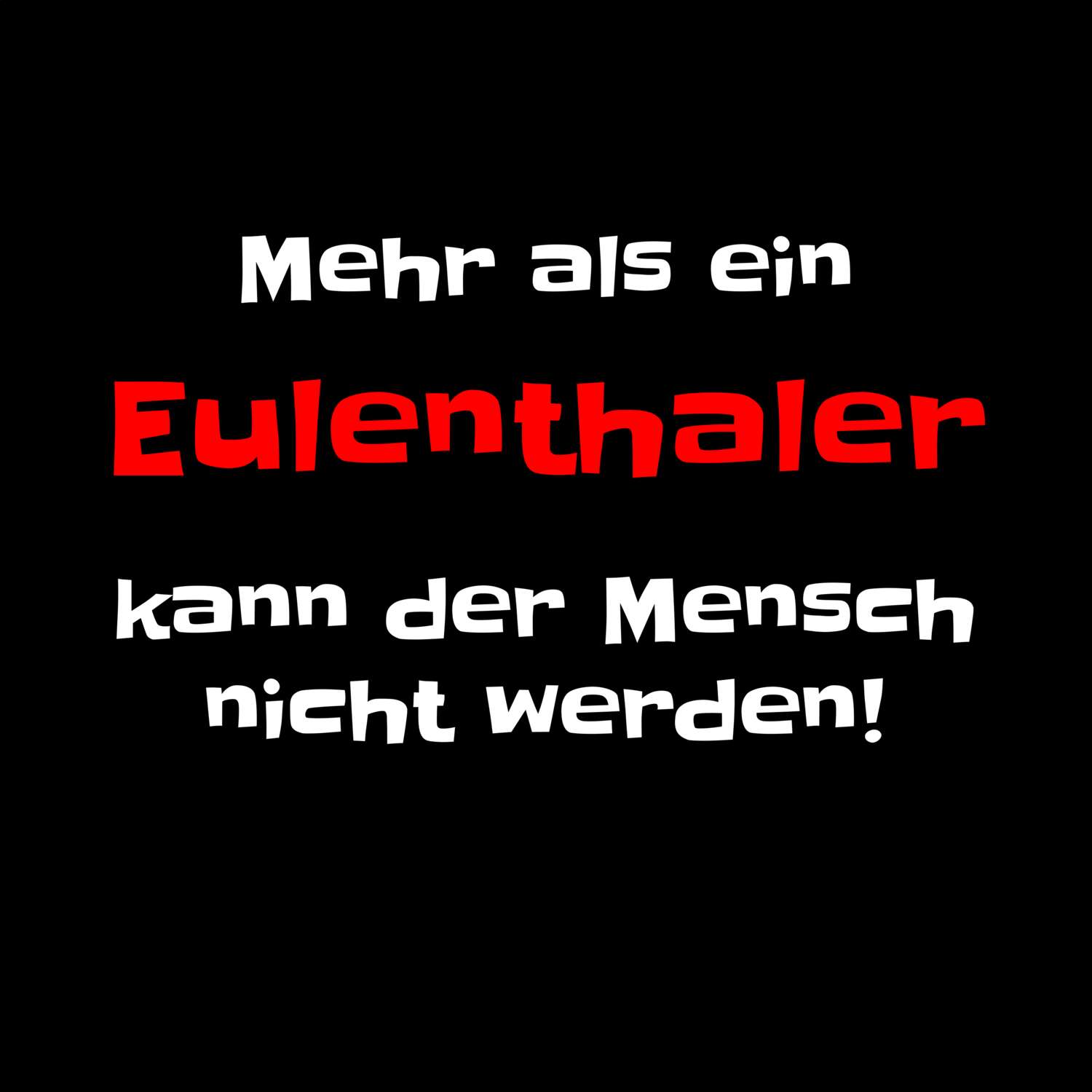 Eulenthal T-Shirt »Mehr als ein«