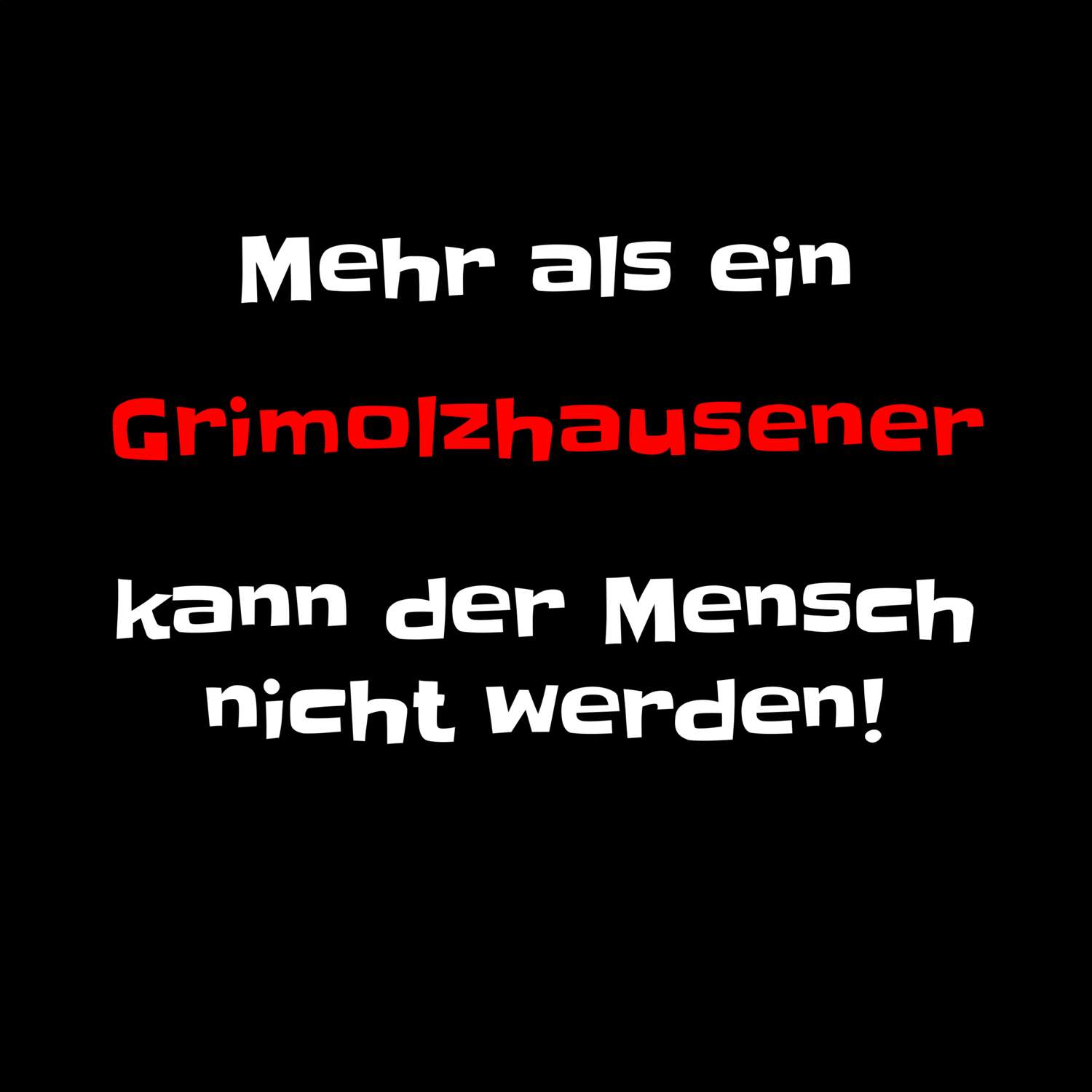 Grimolzhausen T-Shirt »Mehr als ein«