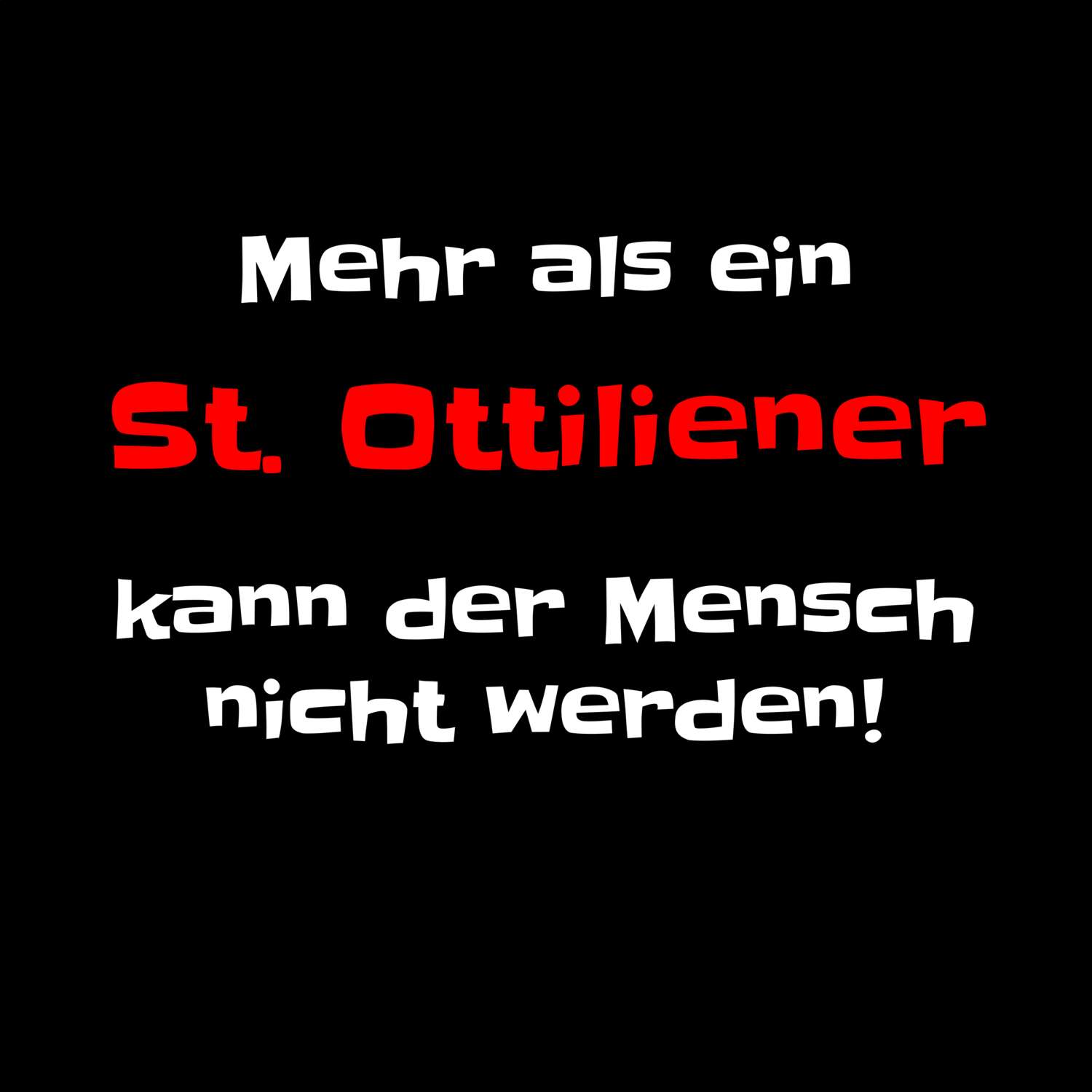 St. Ottilien T-Shirt »Mehr als ein«