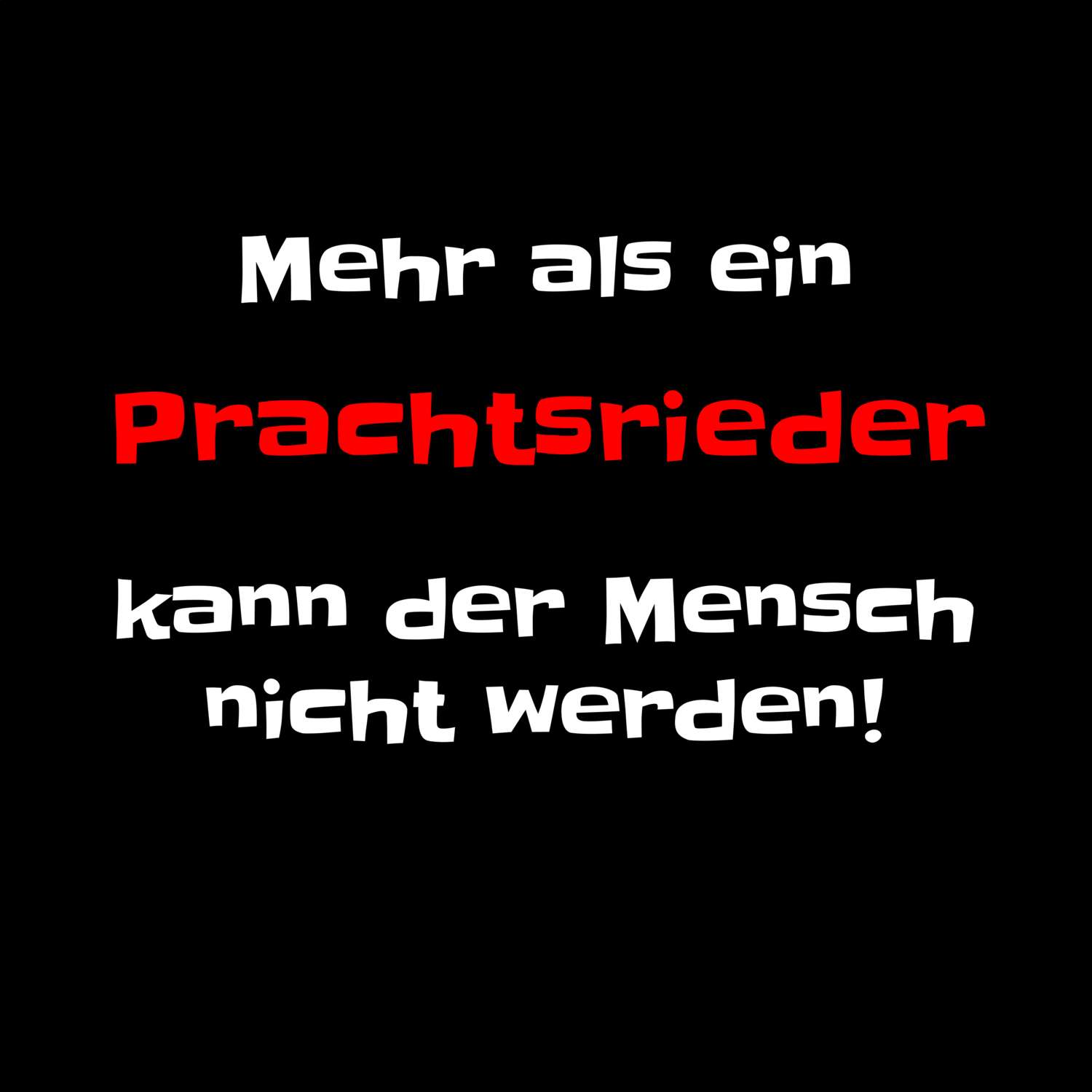 Prachtsried T-Shirt »Mehr als ein«