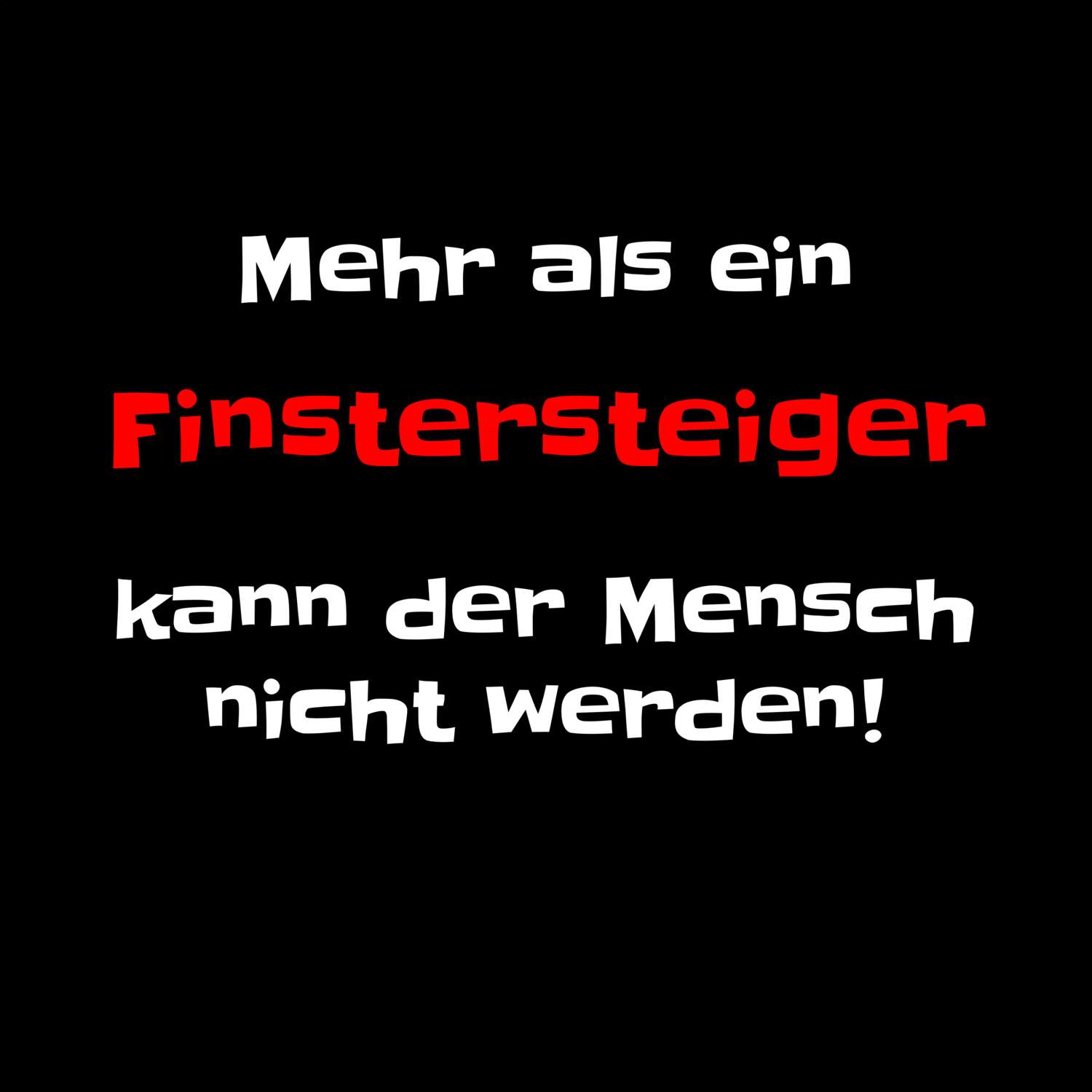 Finstersteig T-Shirt »Mehr als ein«