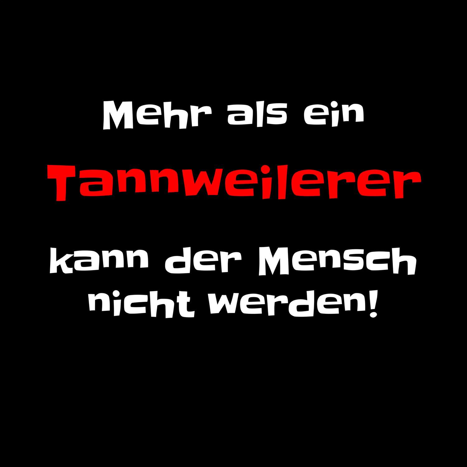 Tannweiler T-Shirt »Mehr als ein«
