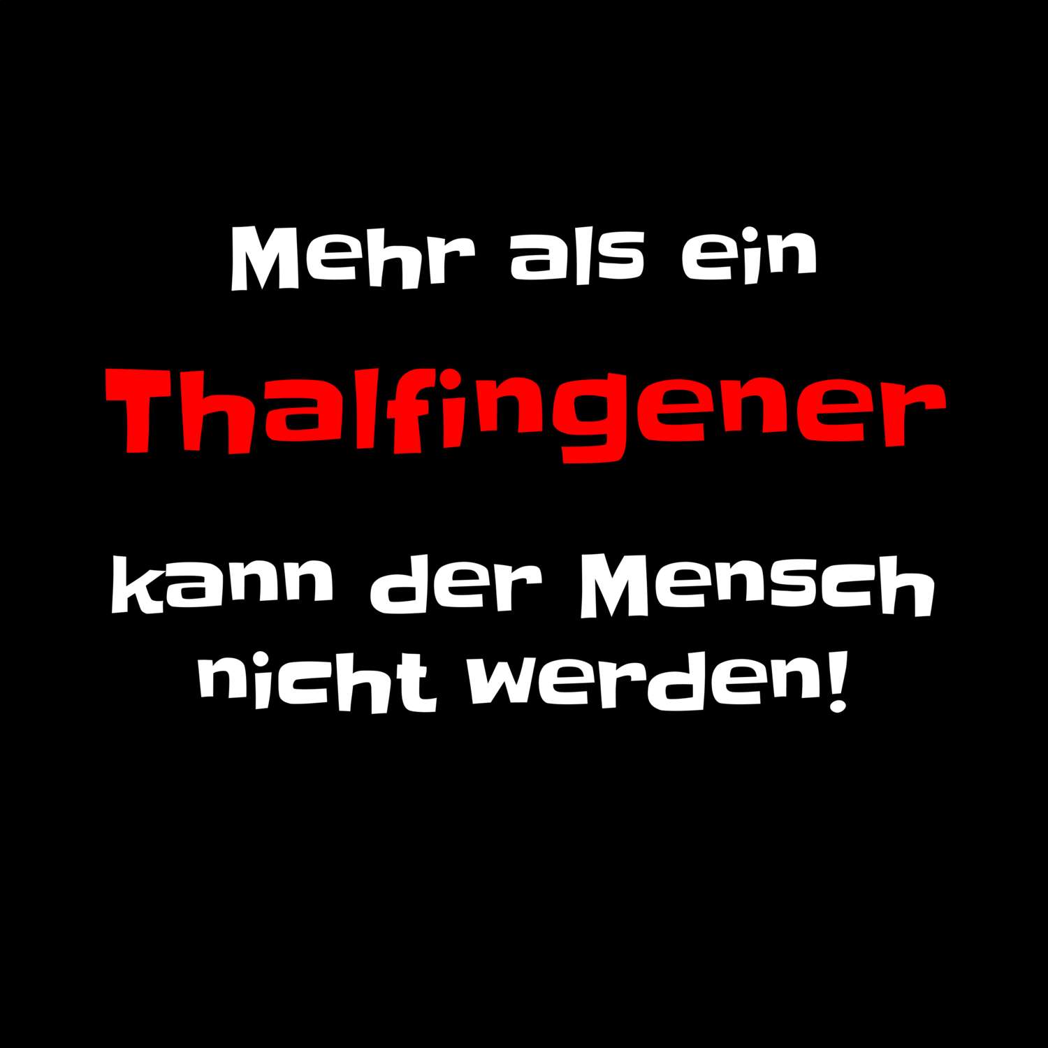 Thalfingen T-Shirt »Mehr als ein«