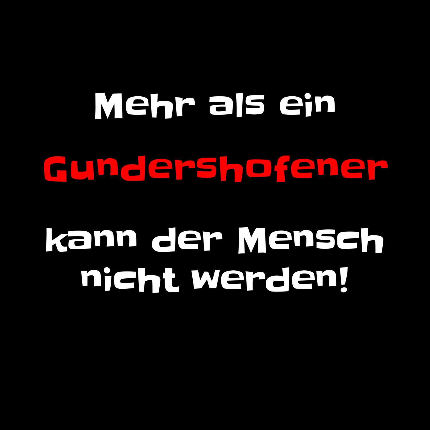 Gundershofen T-Shirt »Mehr als ein«