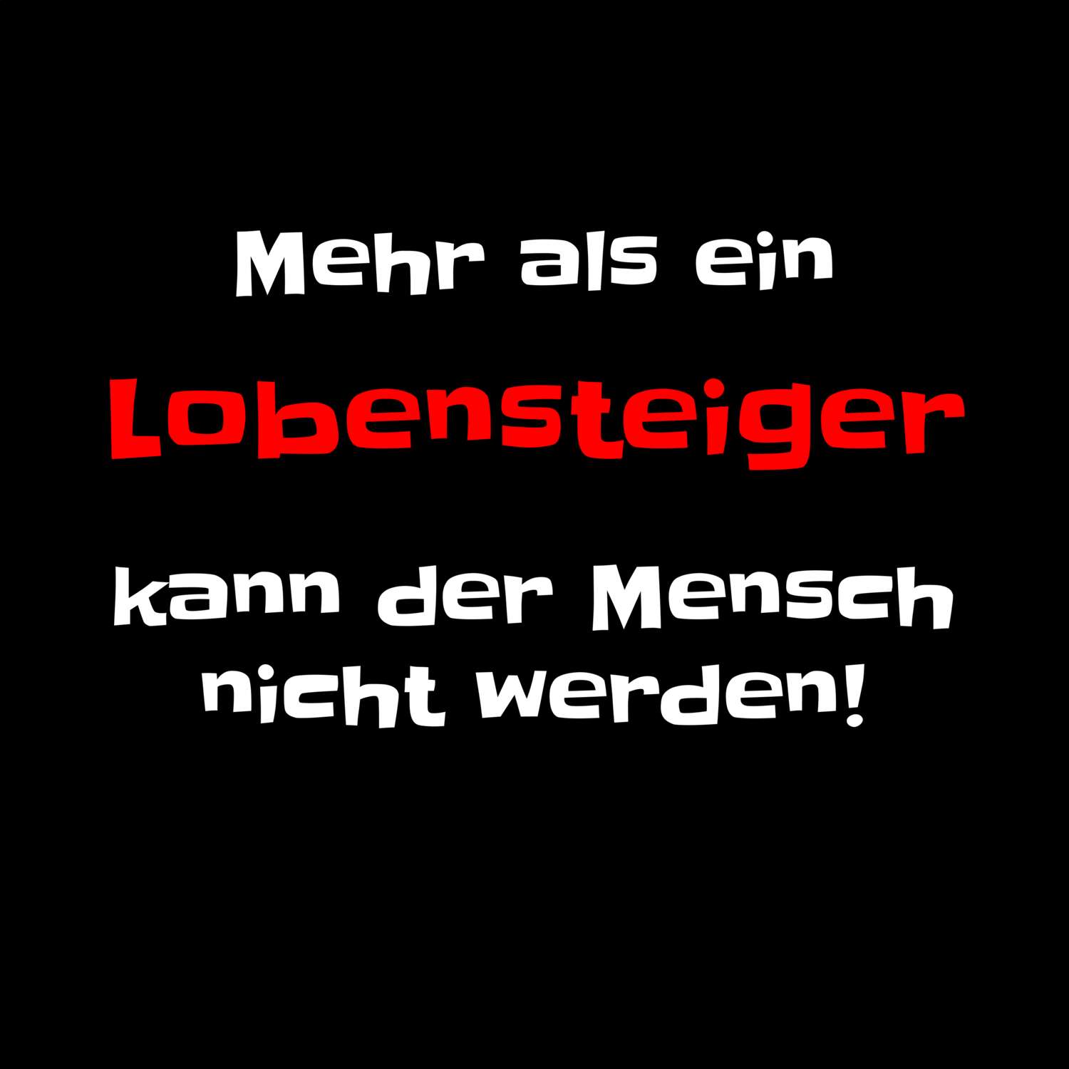 Lobensteig T-Shirt »Mehr als ein«