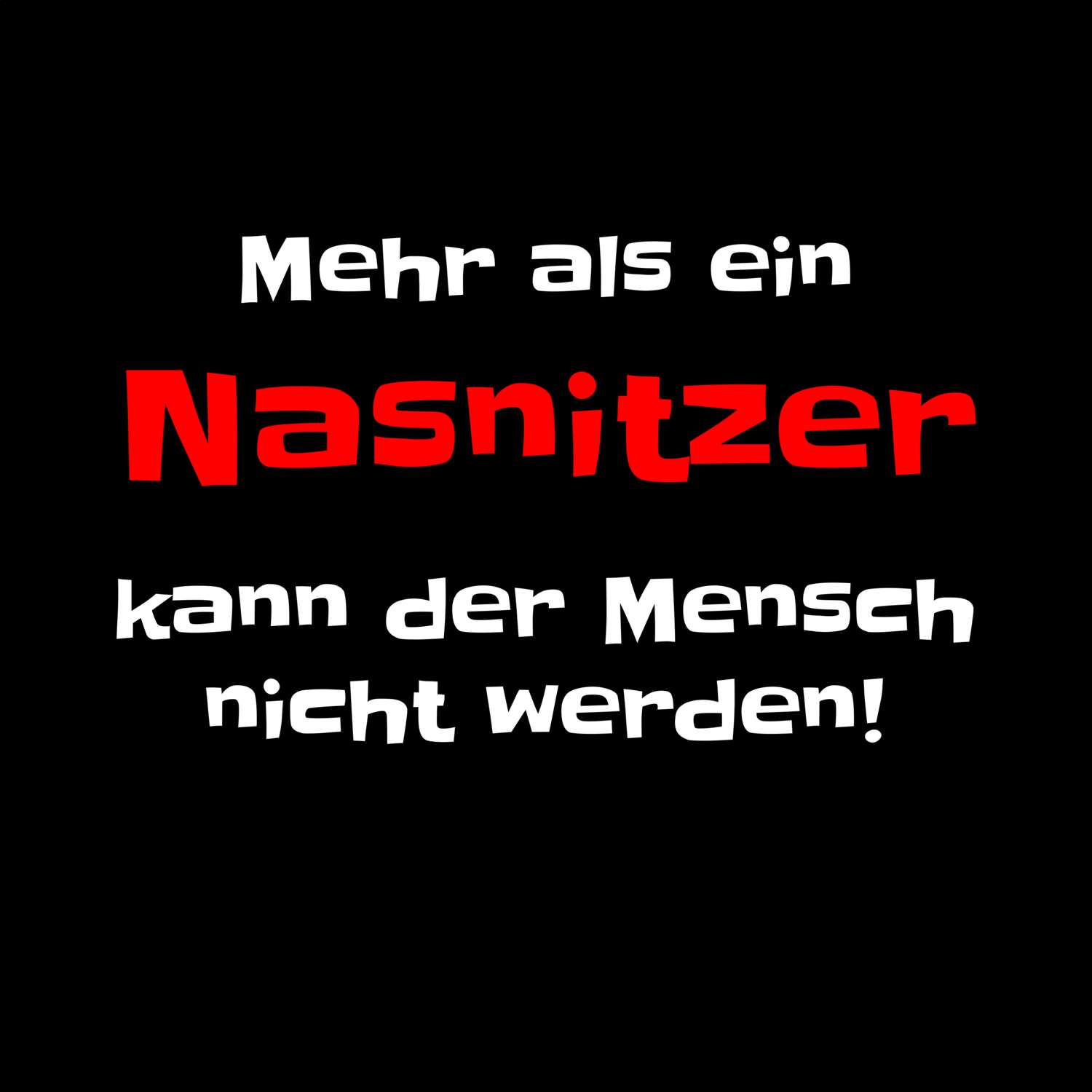 Nasnitz T-Shirt »Mehr als ein«