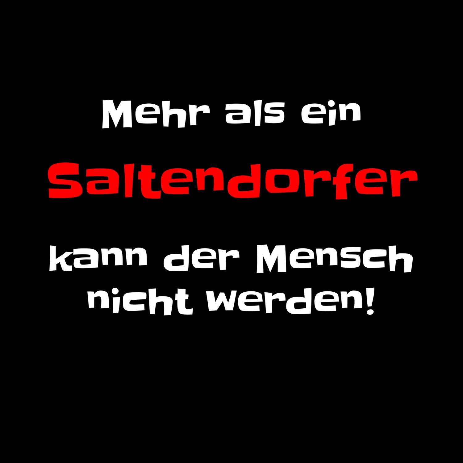 Saltendorf T-Shirt »Mehr als ein«