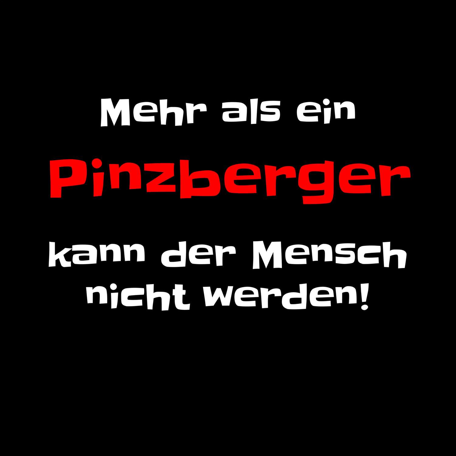 Pinzberg T-Shirt »Mehr als ein«