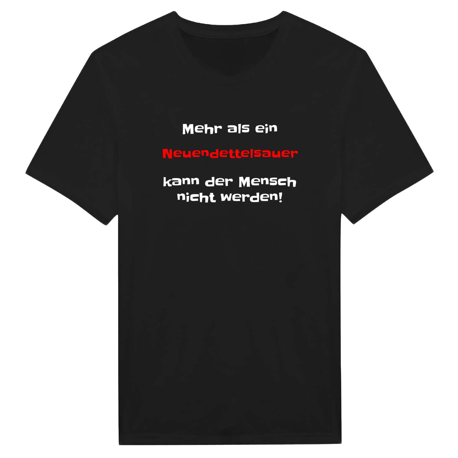 Neuendettelsau T-Shirt »Mehr als ein«