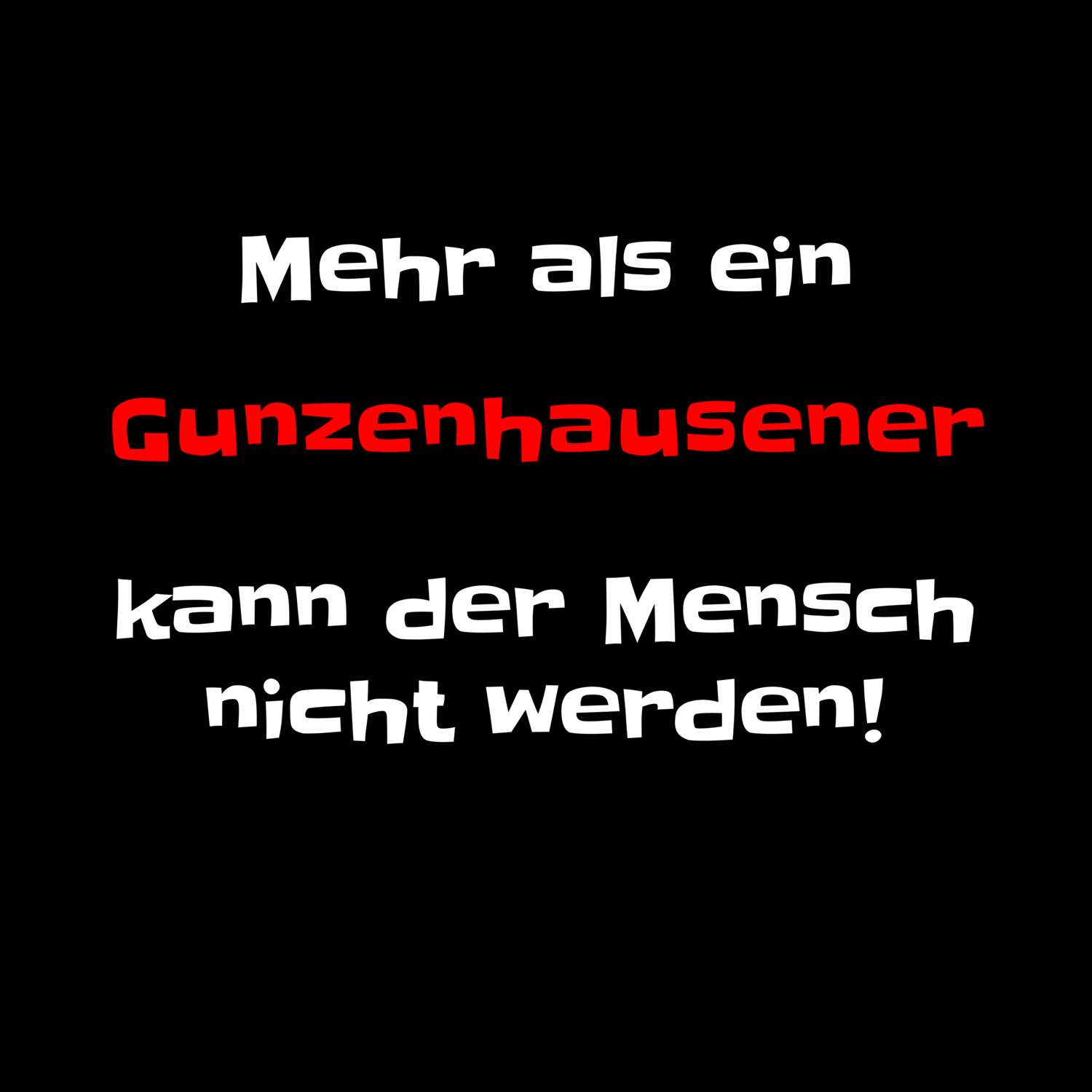 Gunzenhausen T-Shirt »Mehr als ein«