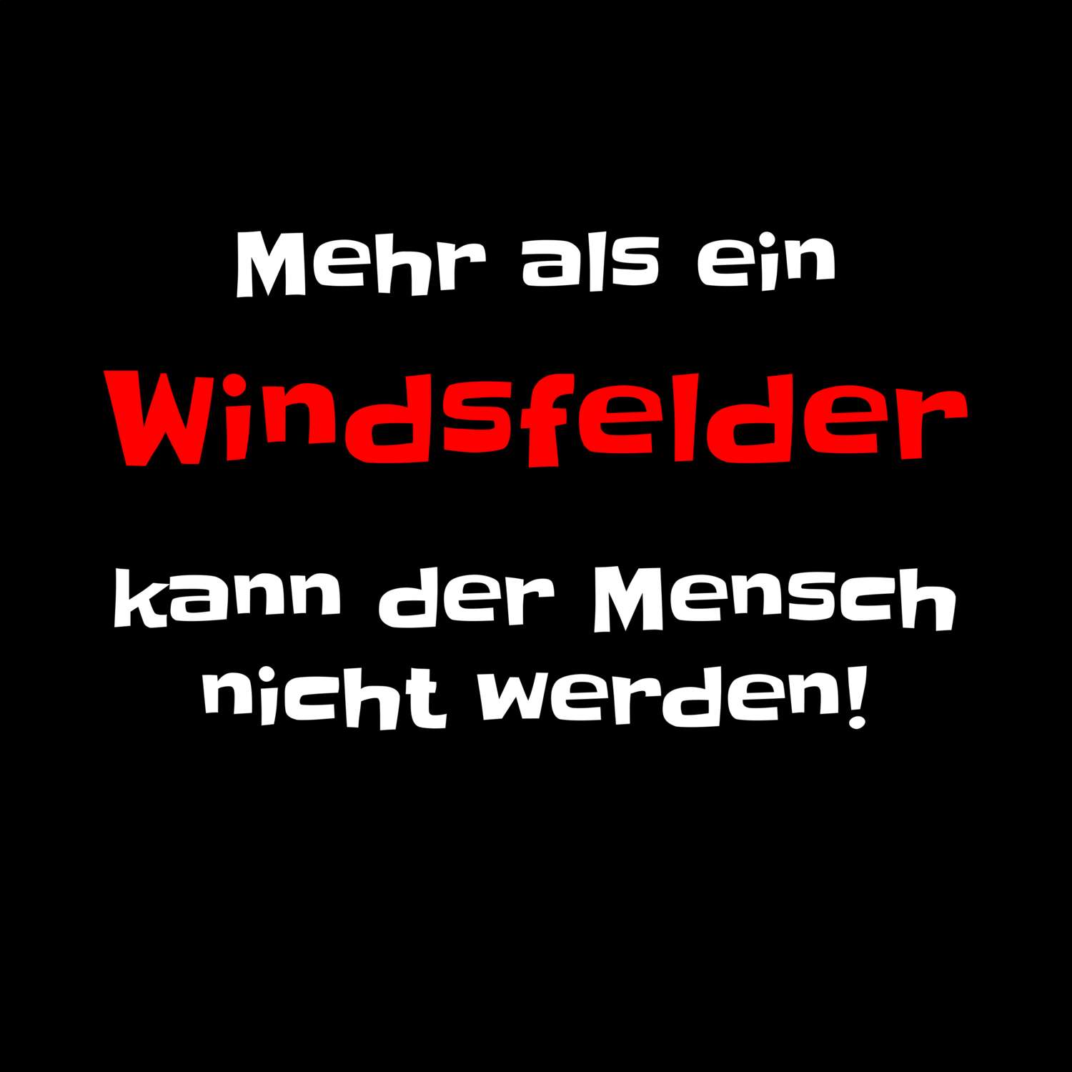 T-Shirt »Mehr als ein« für den Ort »Windsfeld«