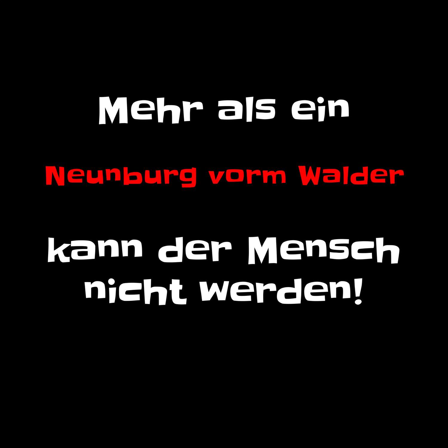 T-Shirt »Mehr als ein« für den Ort »Neunburg vorm Wald«