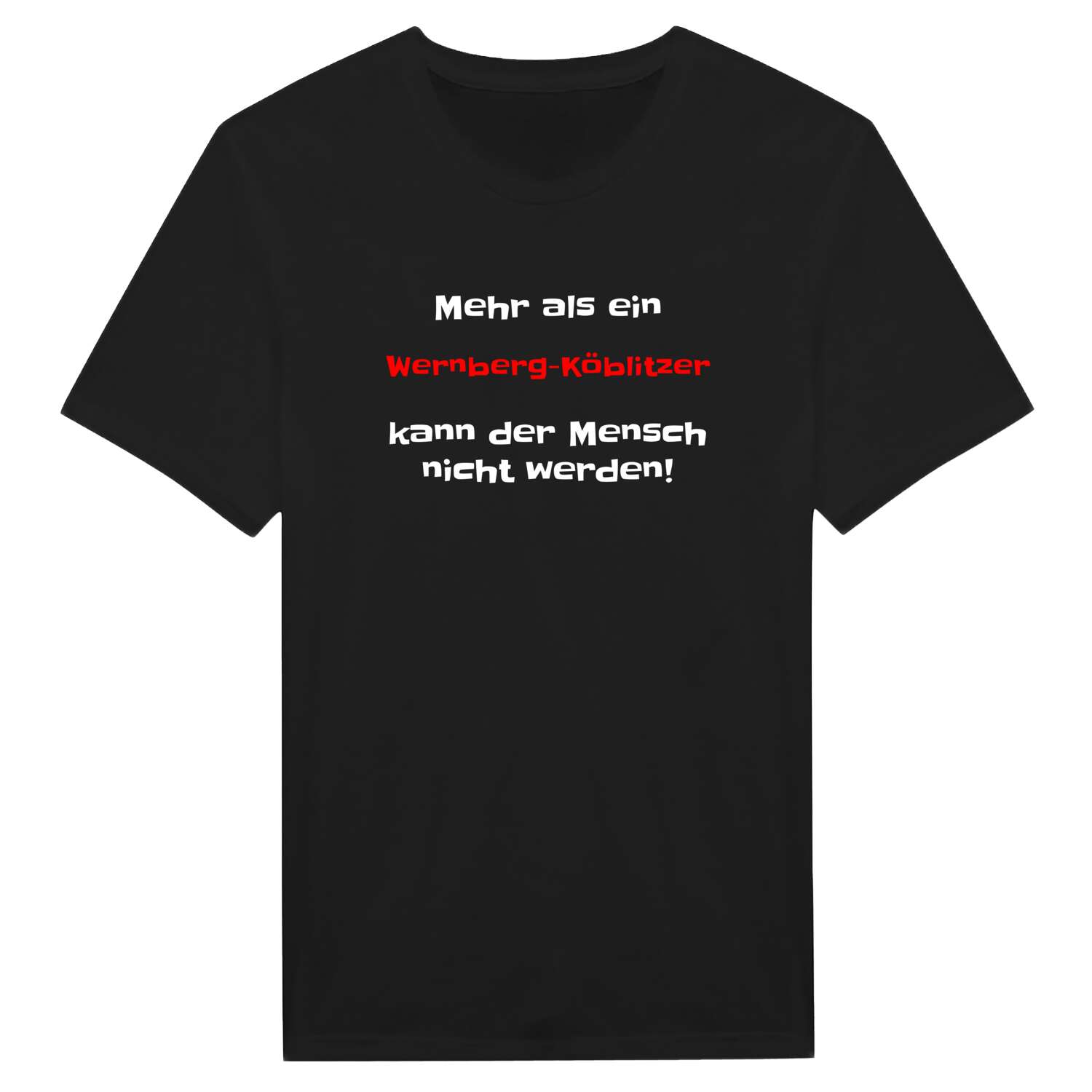 Wernberg-Köblitz T-Shirt »Mehr als ein«