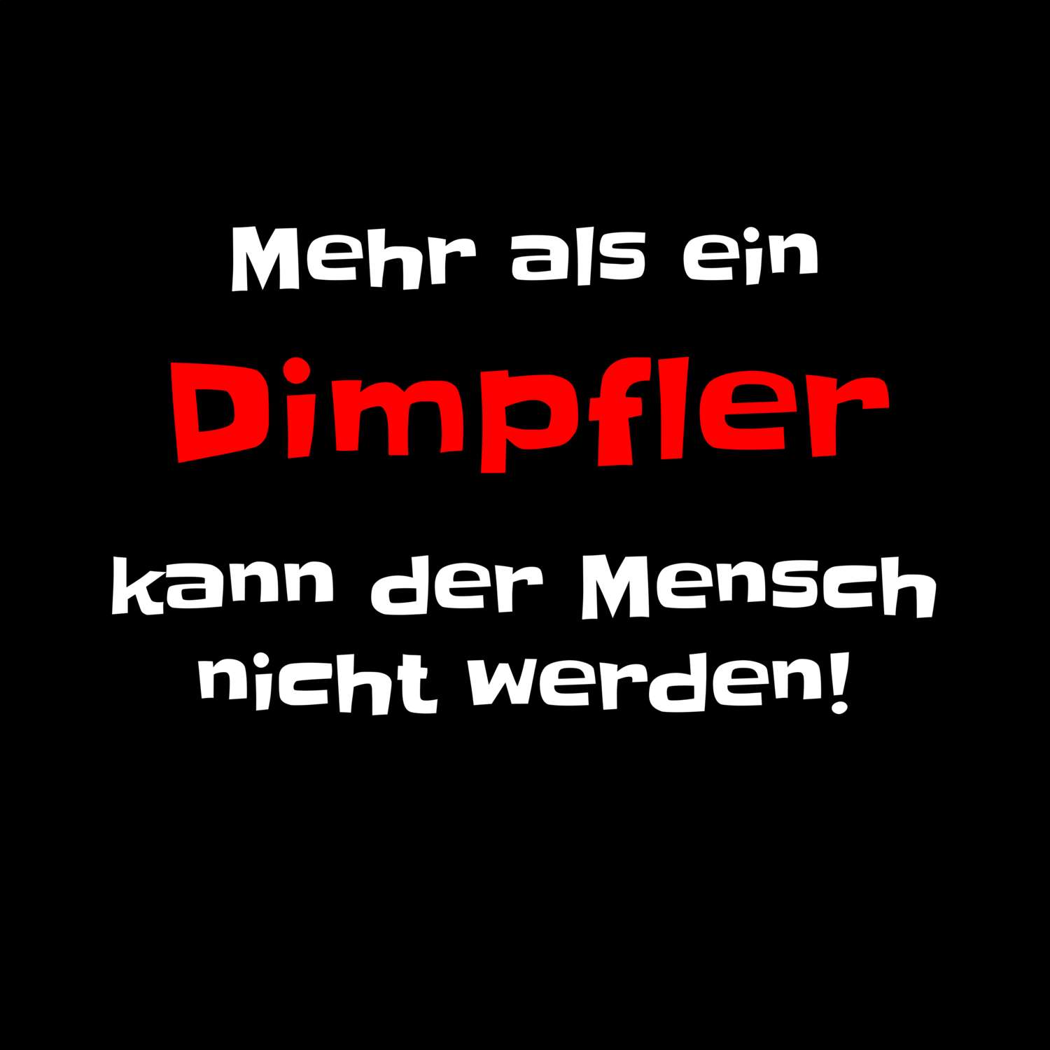 Dimpfl T-Shirt »Mehr als ein«