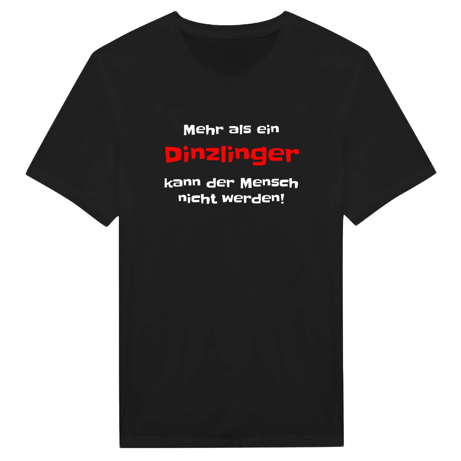 Dinzling T-Shirt »Mehr als ein«