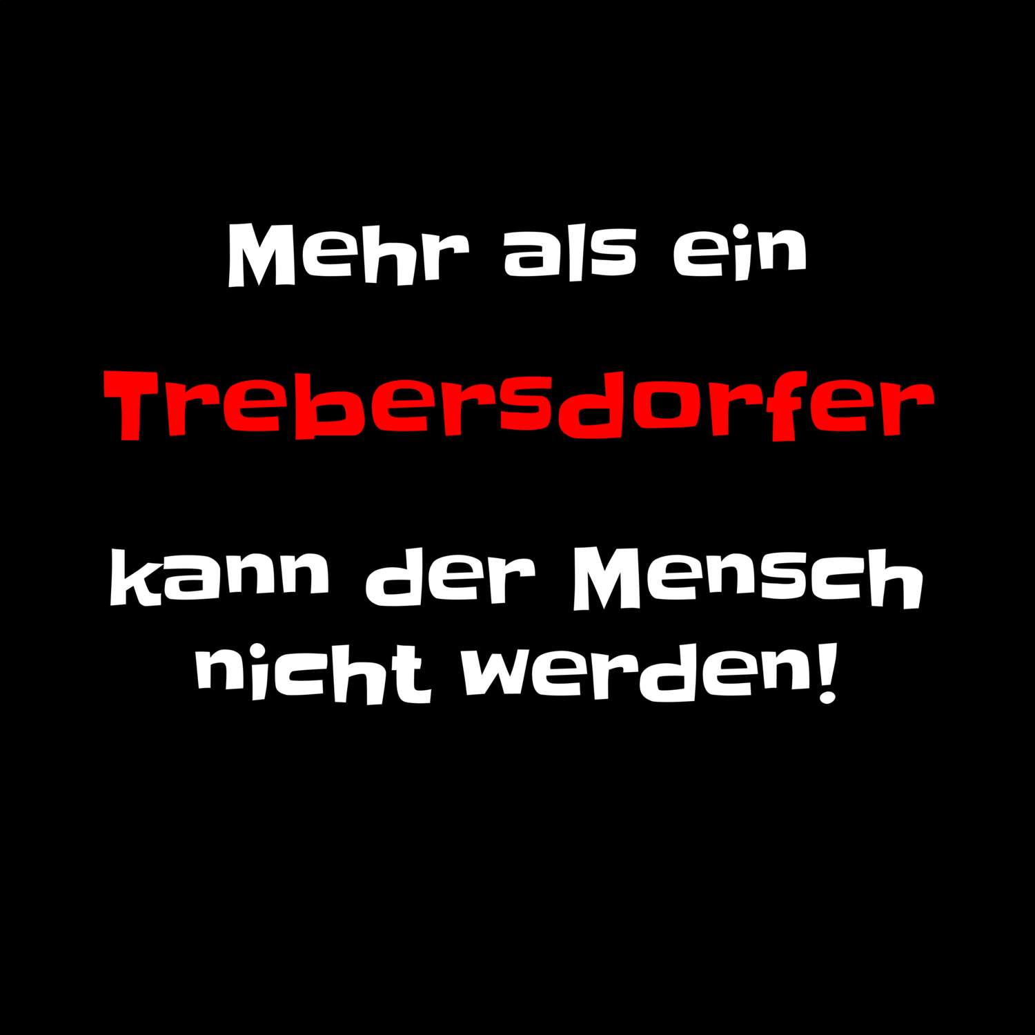 Trebersdorf T-Shirt »Mehr als ein«