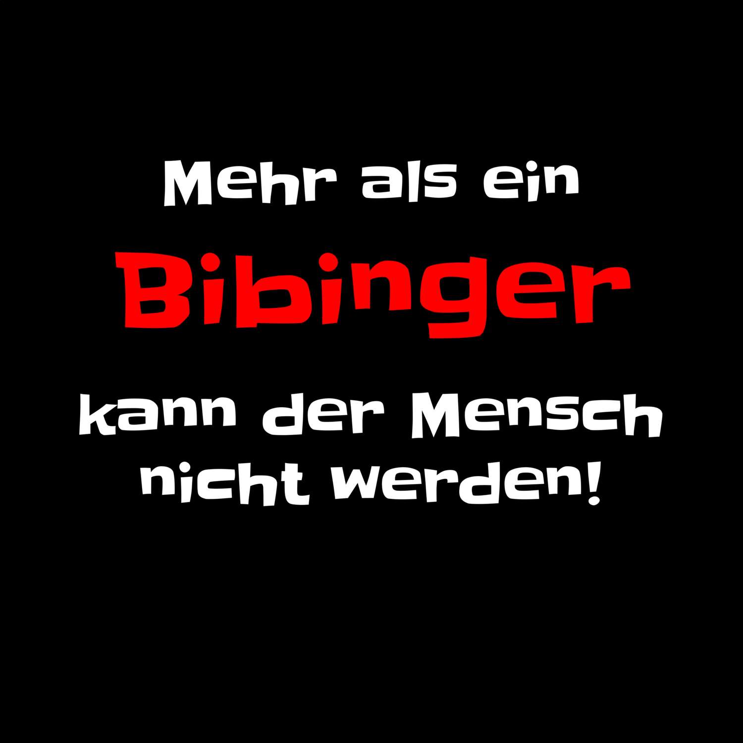 Bibing T-Shirt »Mehr als ein«