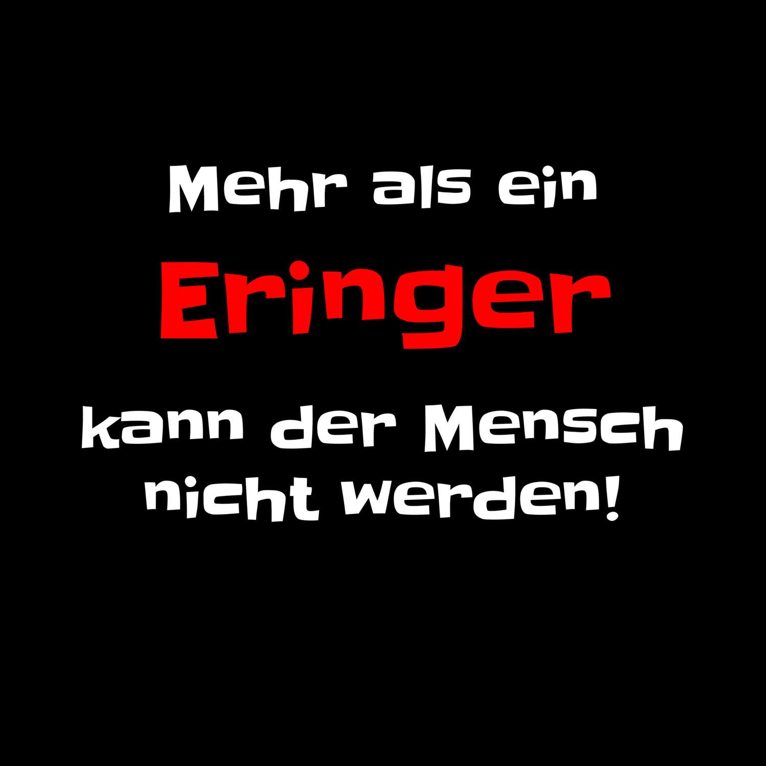 Ering T-Shirt »Mehr als ein«